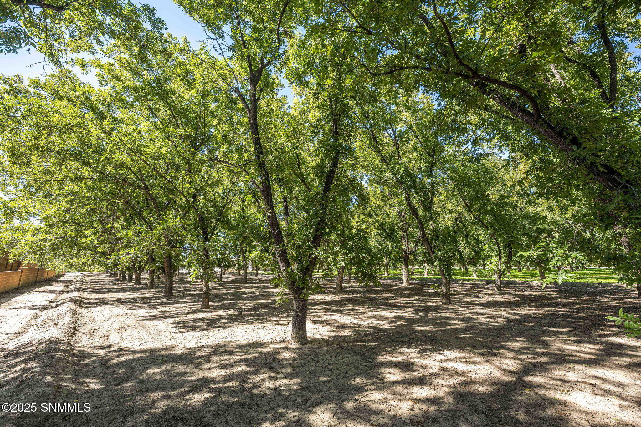 63-web-or-mls-Snappin Homes (Overlook446