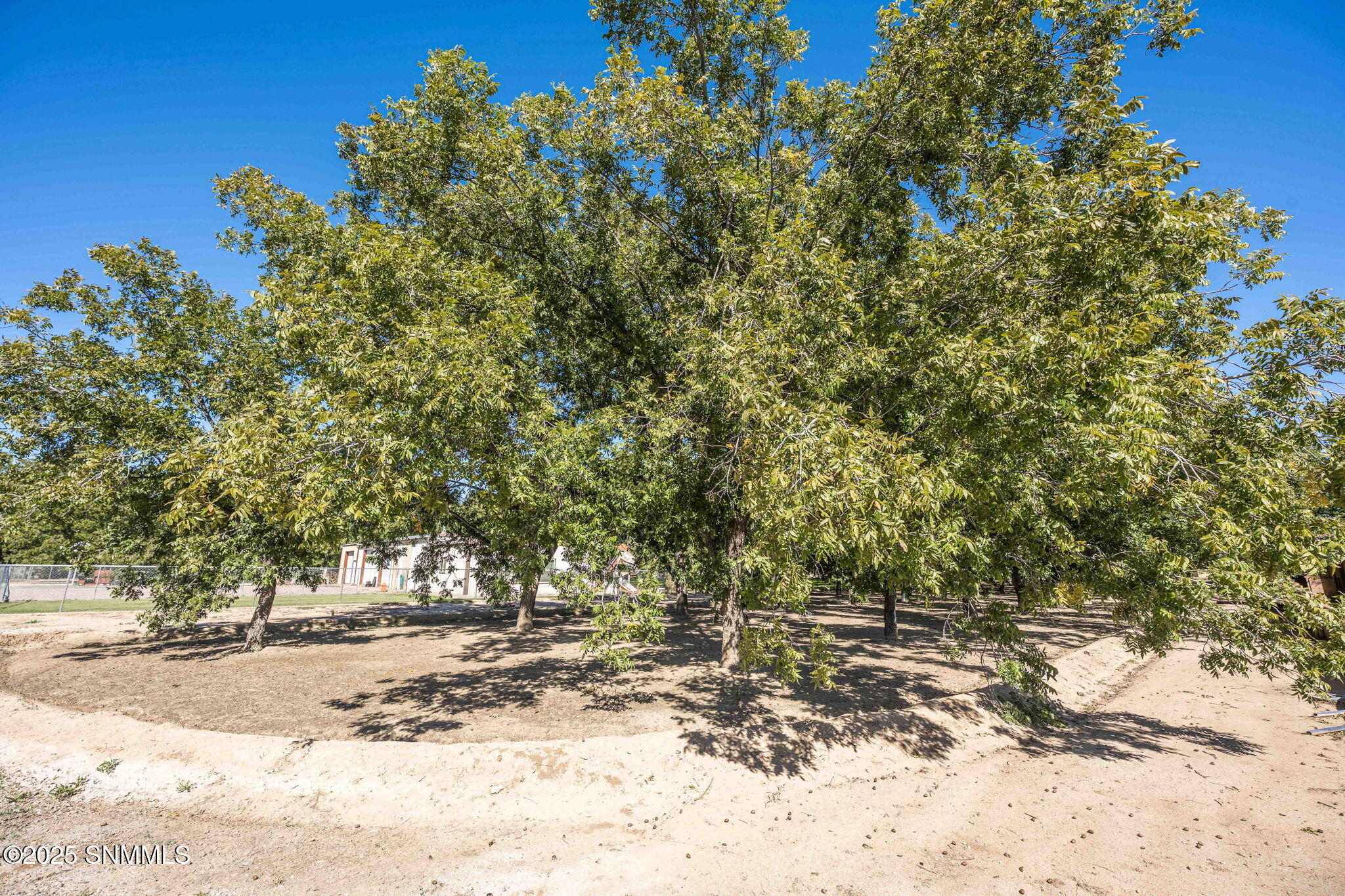 64-web-or-mls-Snappin Homes (Overlook446