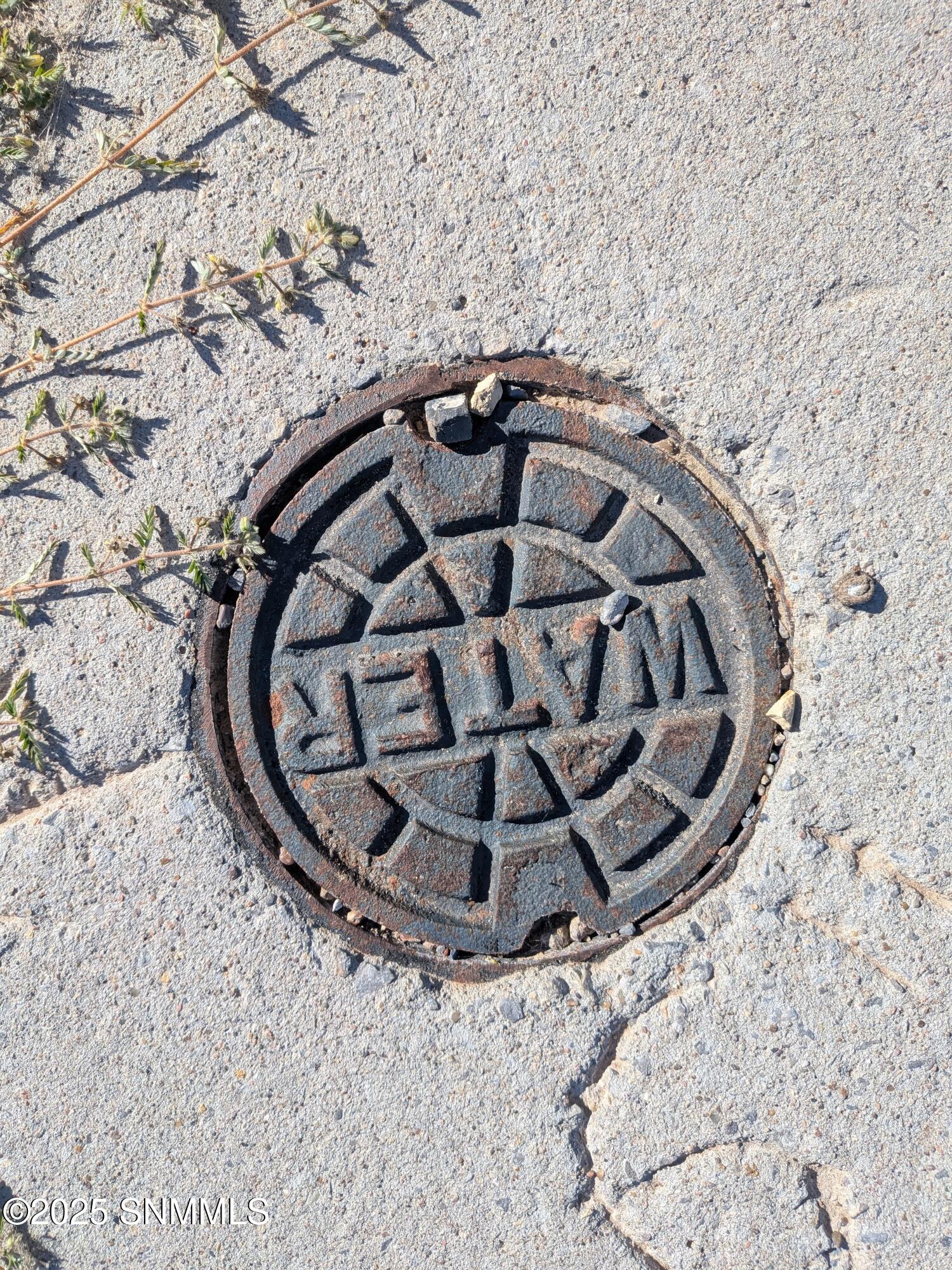 WhatsApp Image 2025-11-04 at 07.29.11_f5