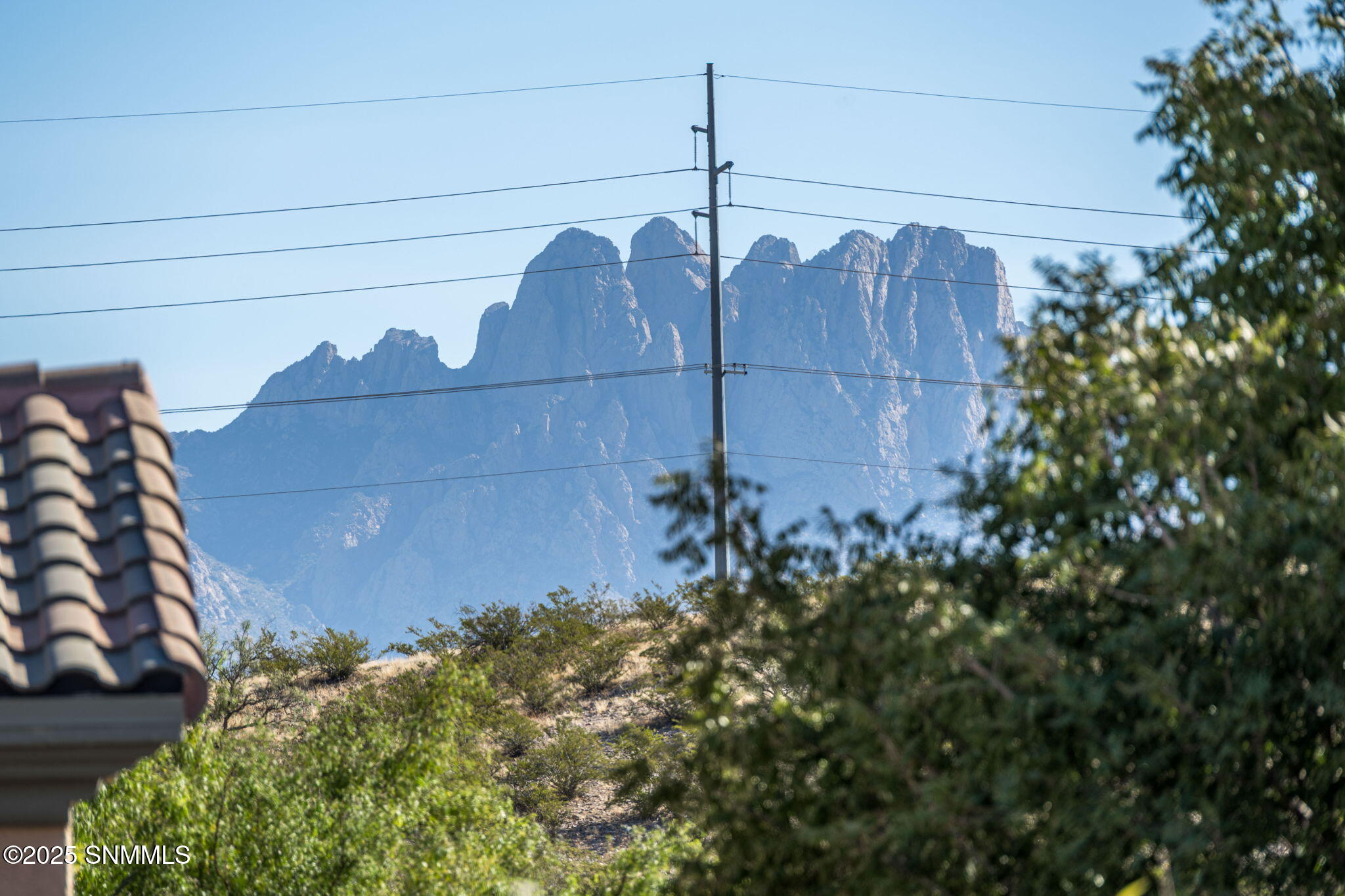 23-web-or-mls-Snappin Homes (Morningstar