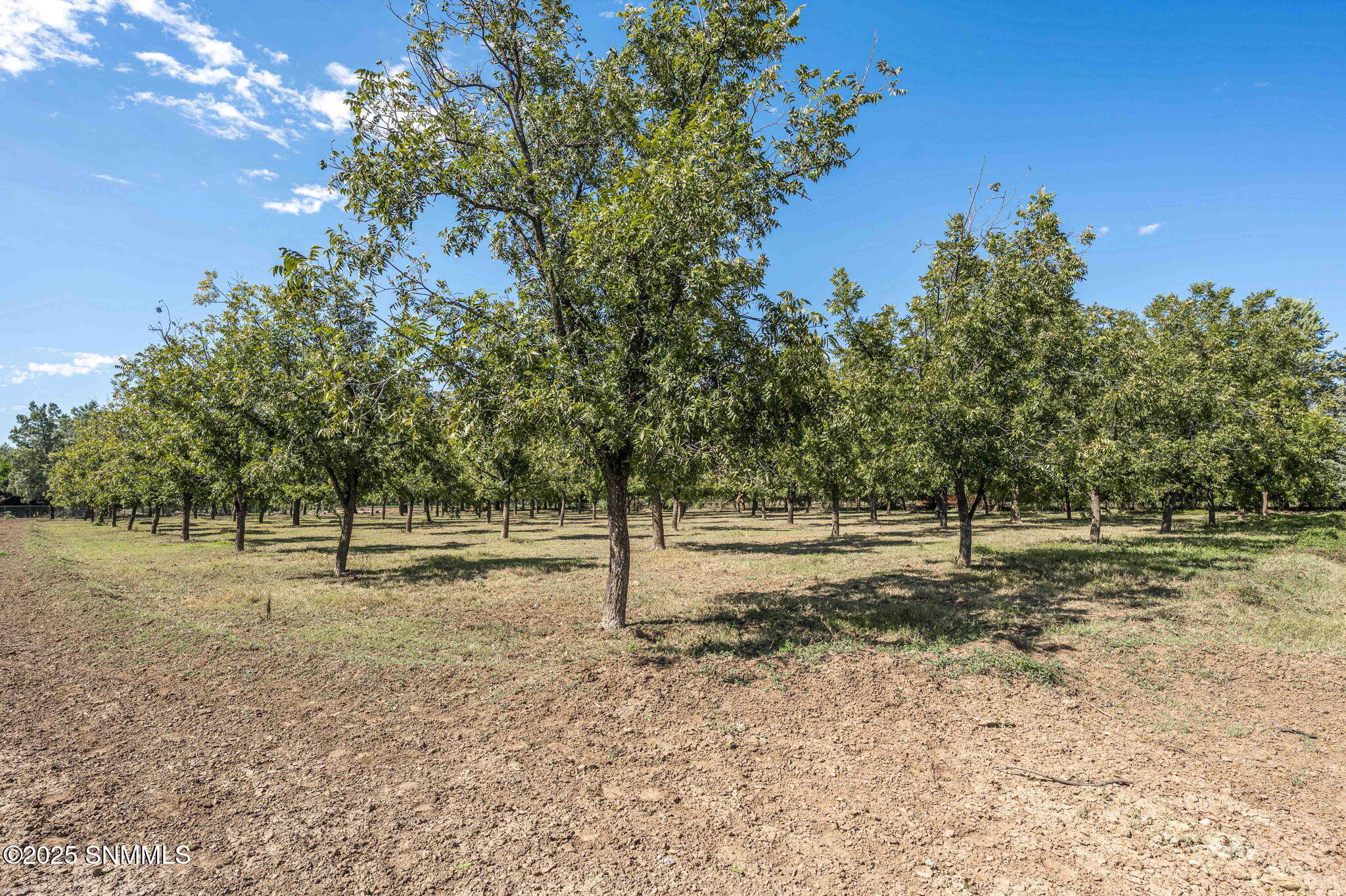 67-web-or-mls-Snappin Homes (Snow3044)-6