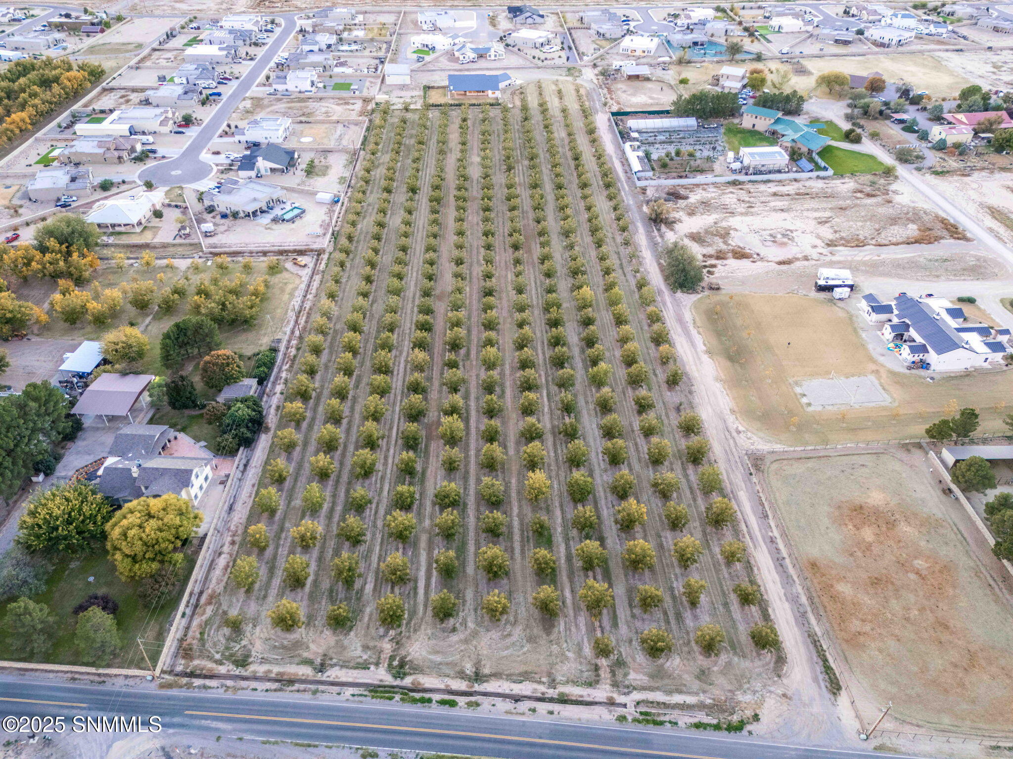 86-web-or-mls-Snappin Homes (DonaAna7403