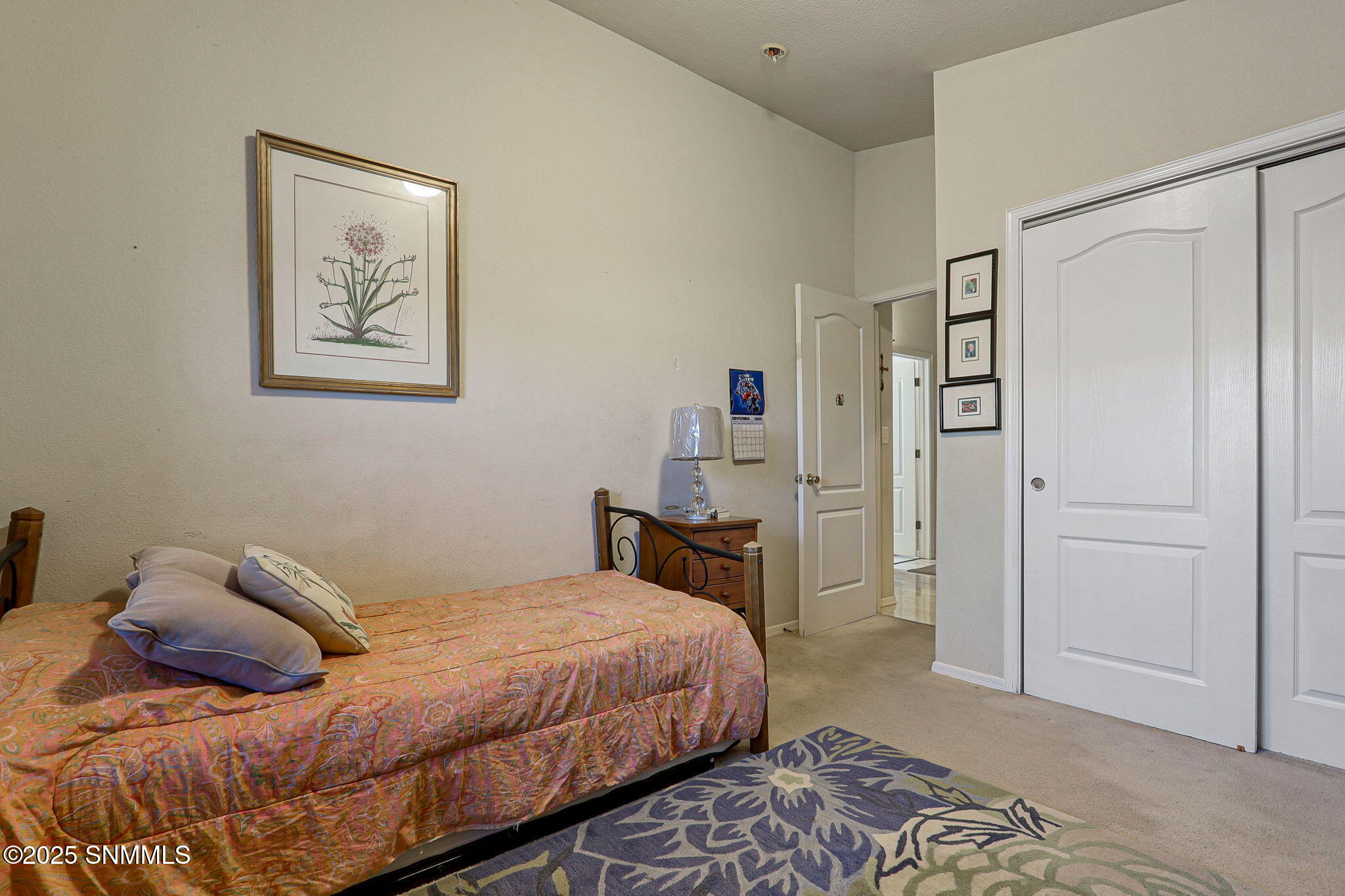 29-web-or-mls-IMG_0333