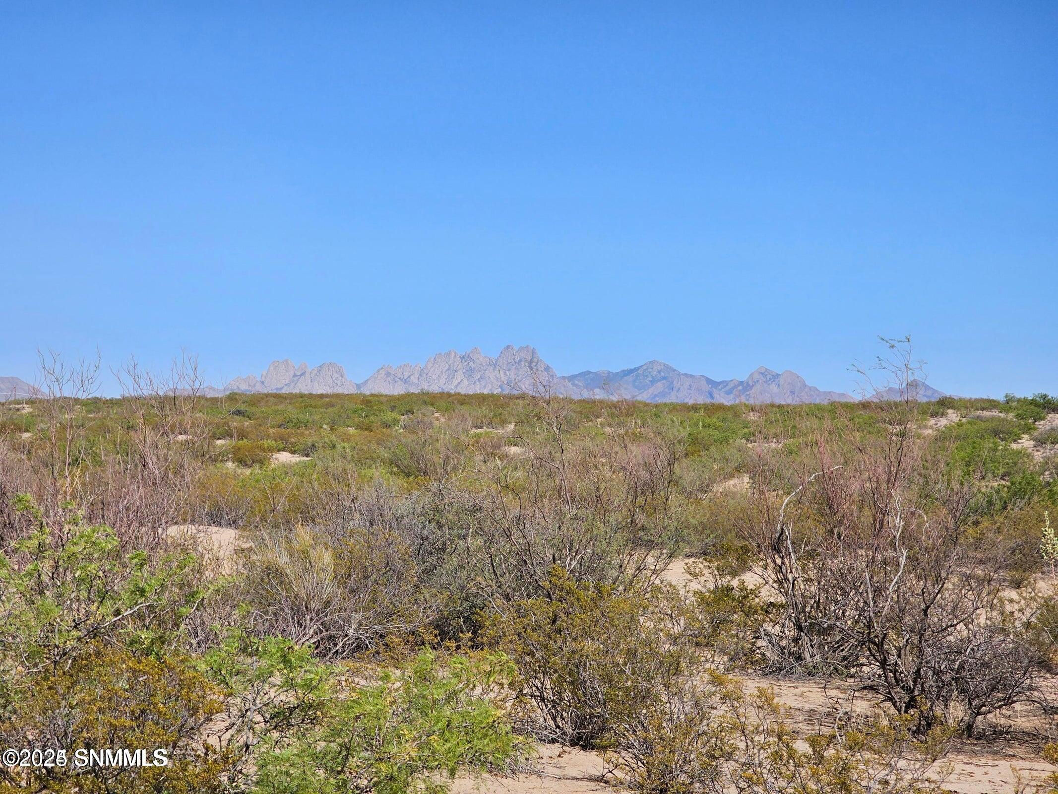 20241227201914504956000000-o