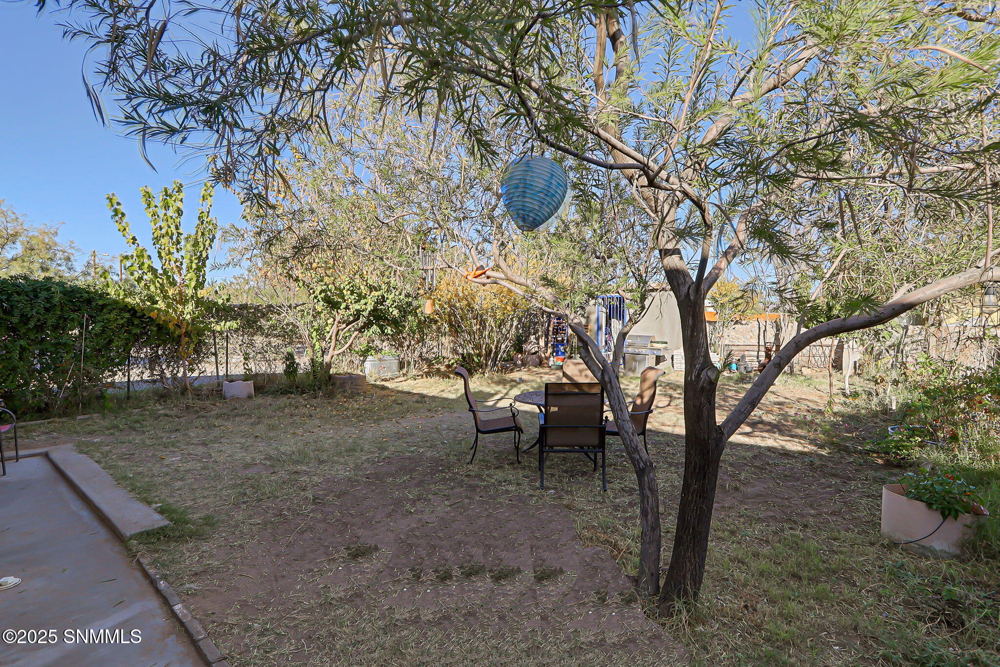 8-web-or-mls-IMG_8148