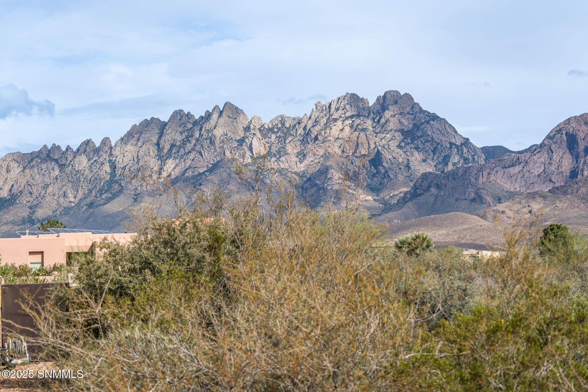 60-web-or-mls-Snappin Homes (SilkOak8801