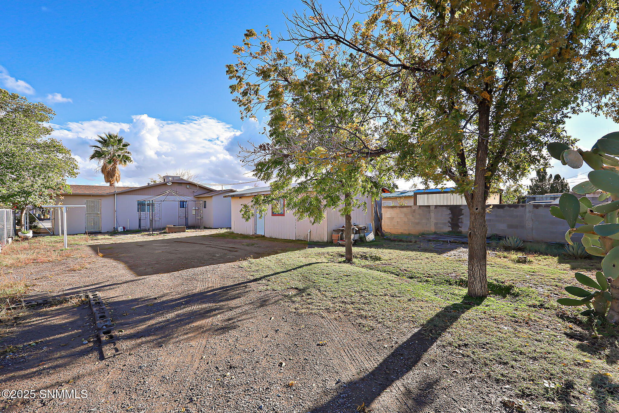 16-web-or-mls-IMG_2587