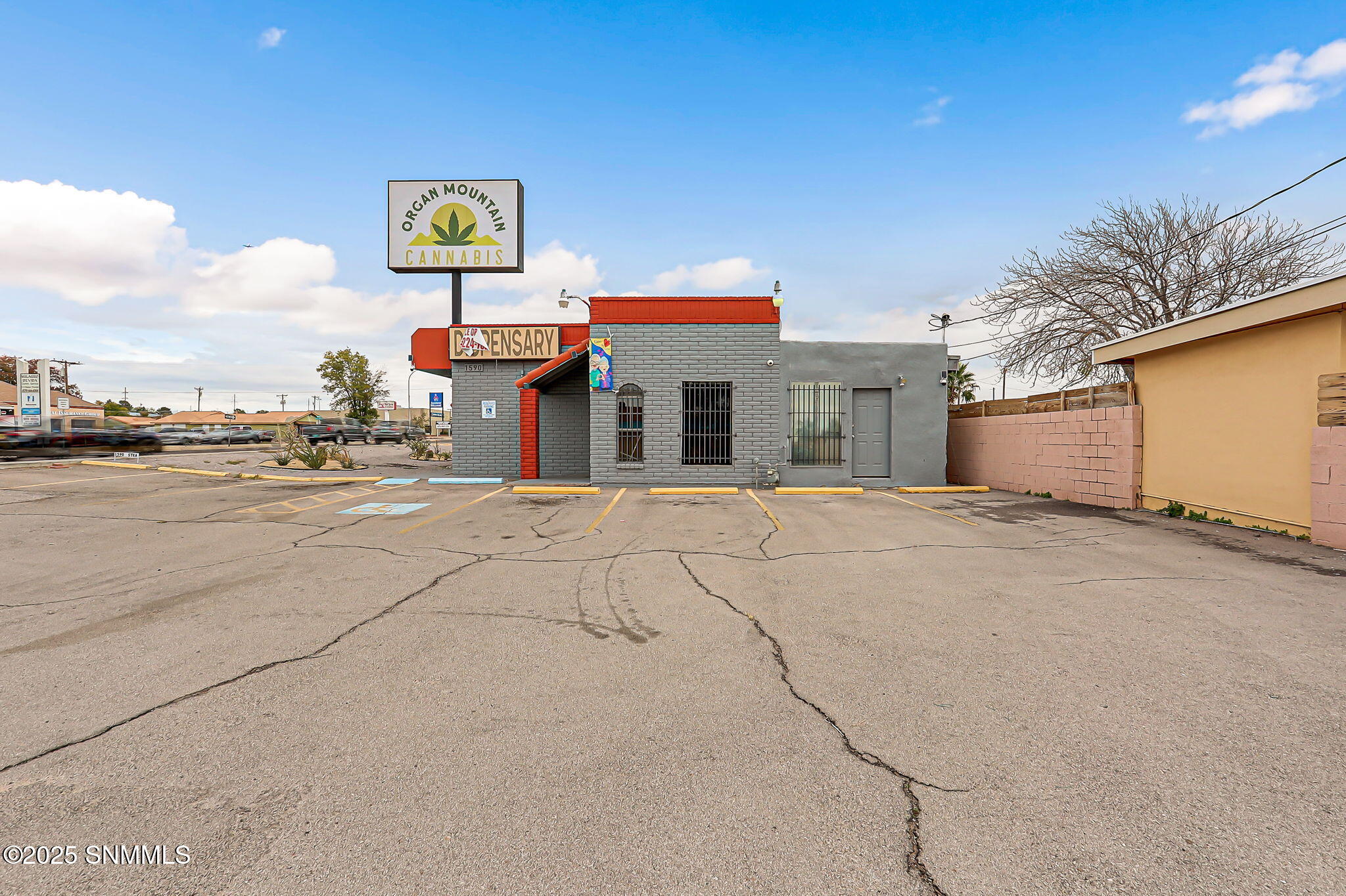 15-web-or-mls-IMG_9358