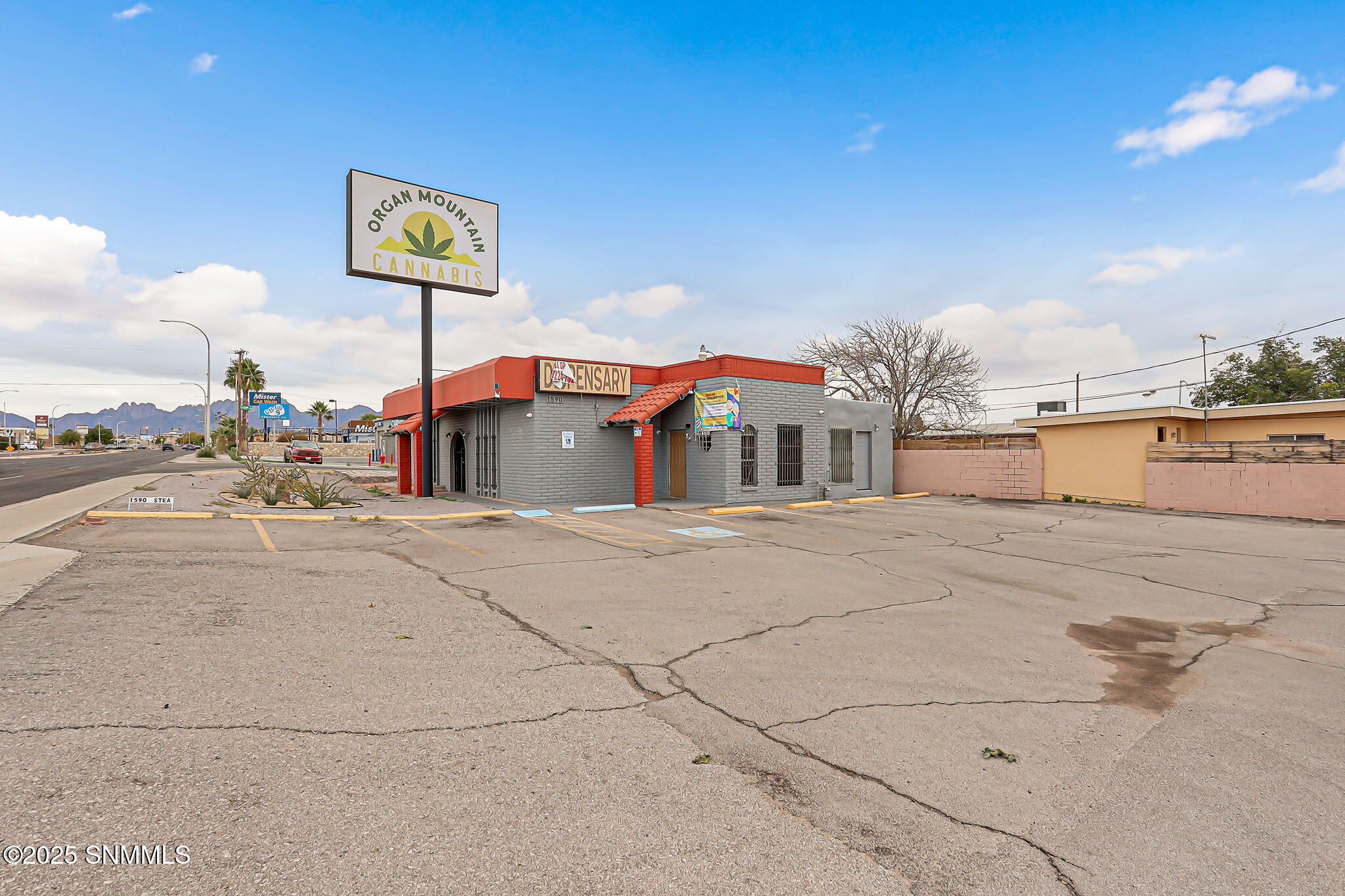 18-web-or-mls-IMG_9351