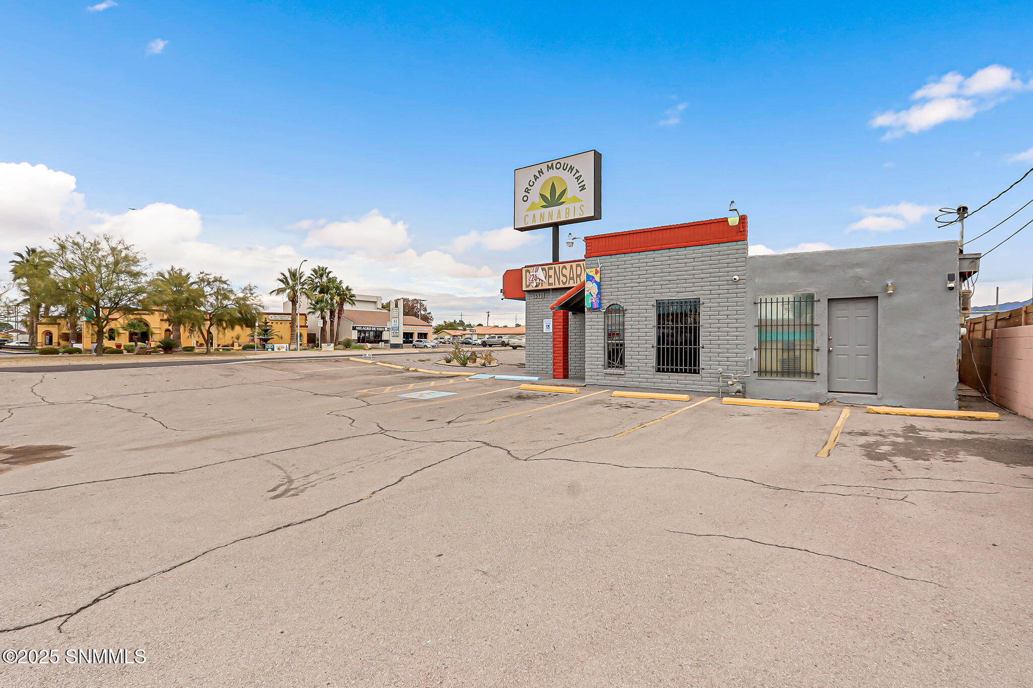 14-web-or-mls-IMG_9379