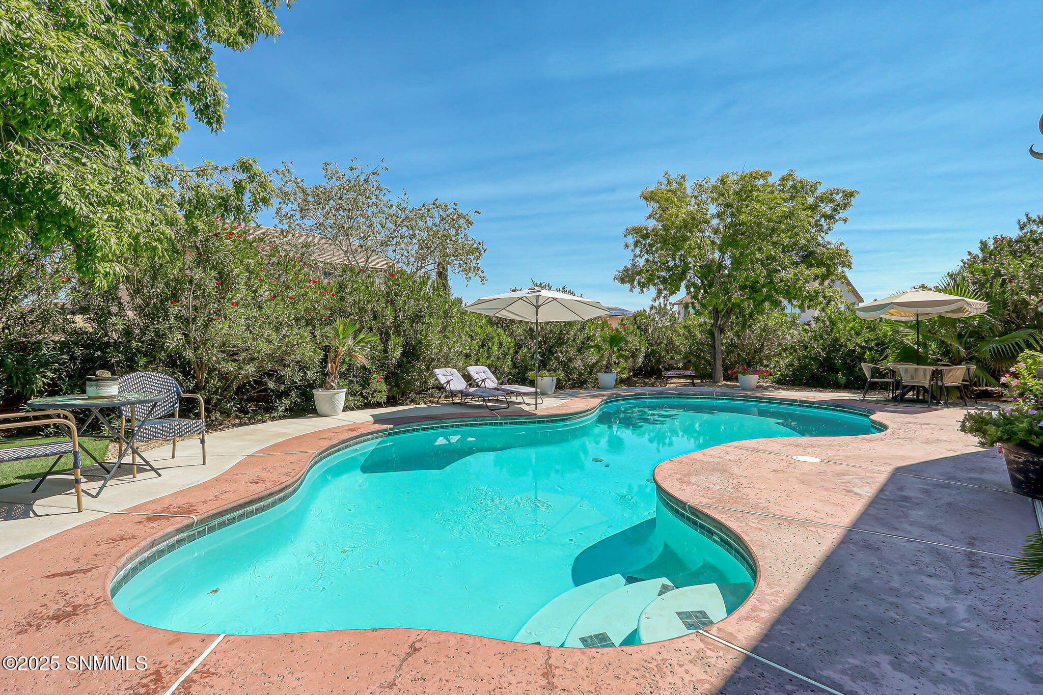 16-web-or-mls-IMG_5529