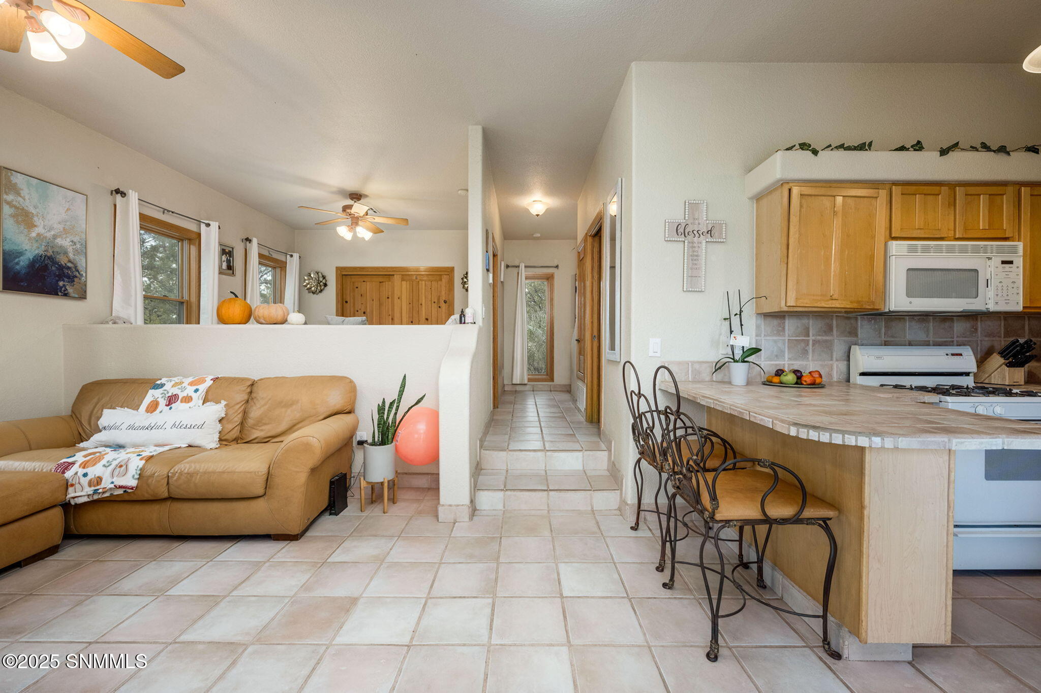 91-web-or-mls-McNutt 7003-91