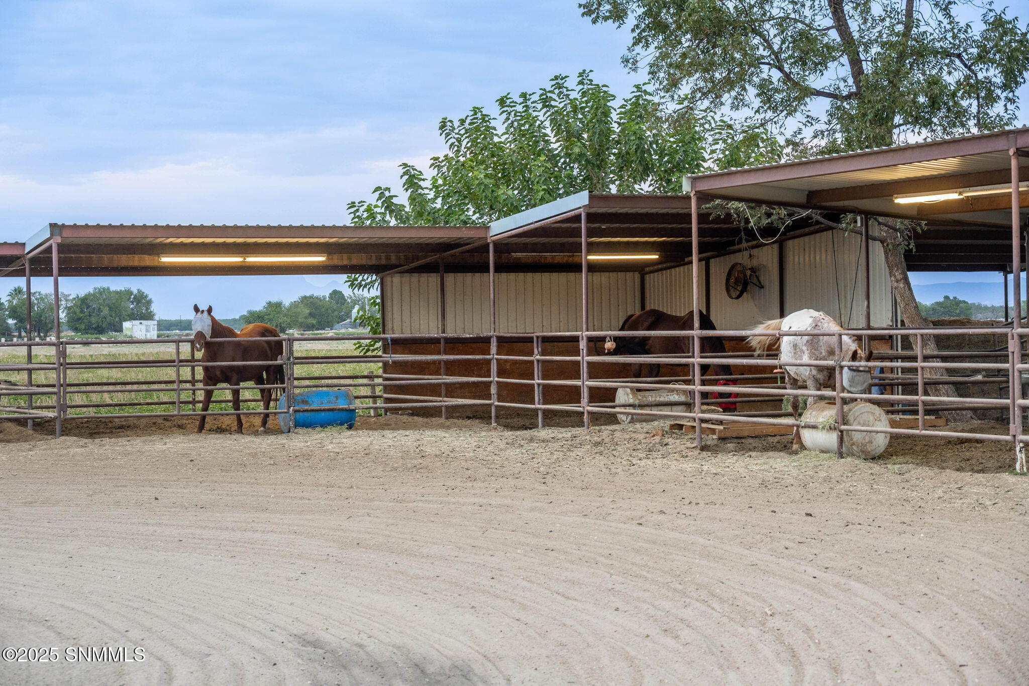 114-web-or-mls-McNutt 7003-114