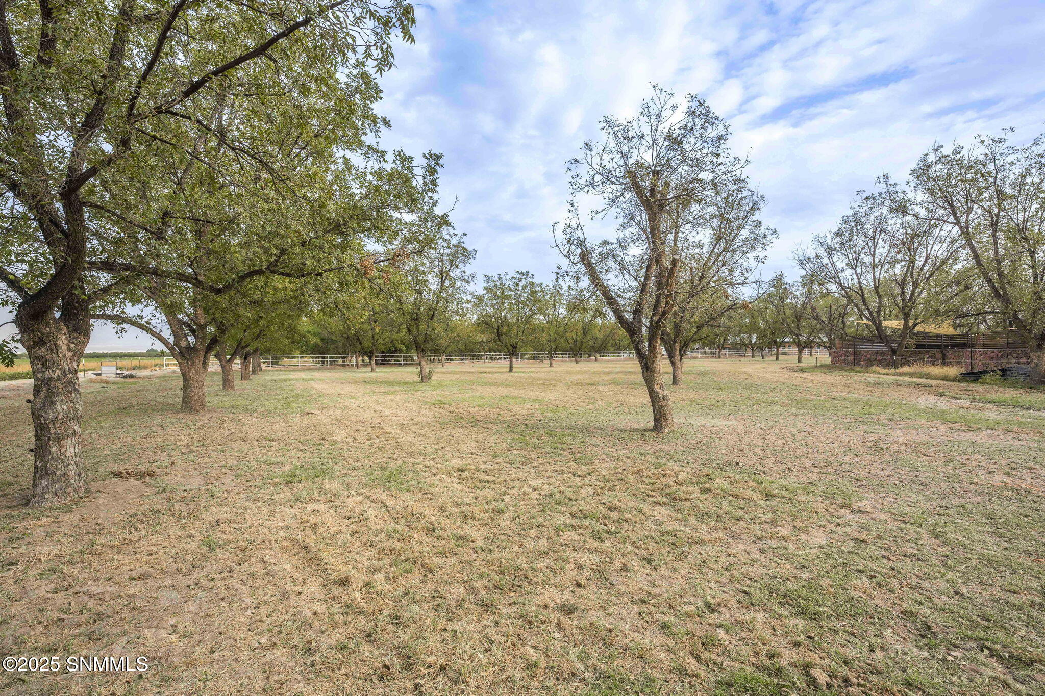 133-web-or-mls-McNutt 7003-133