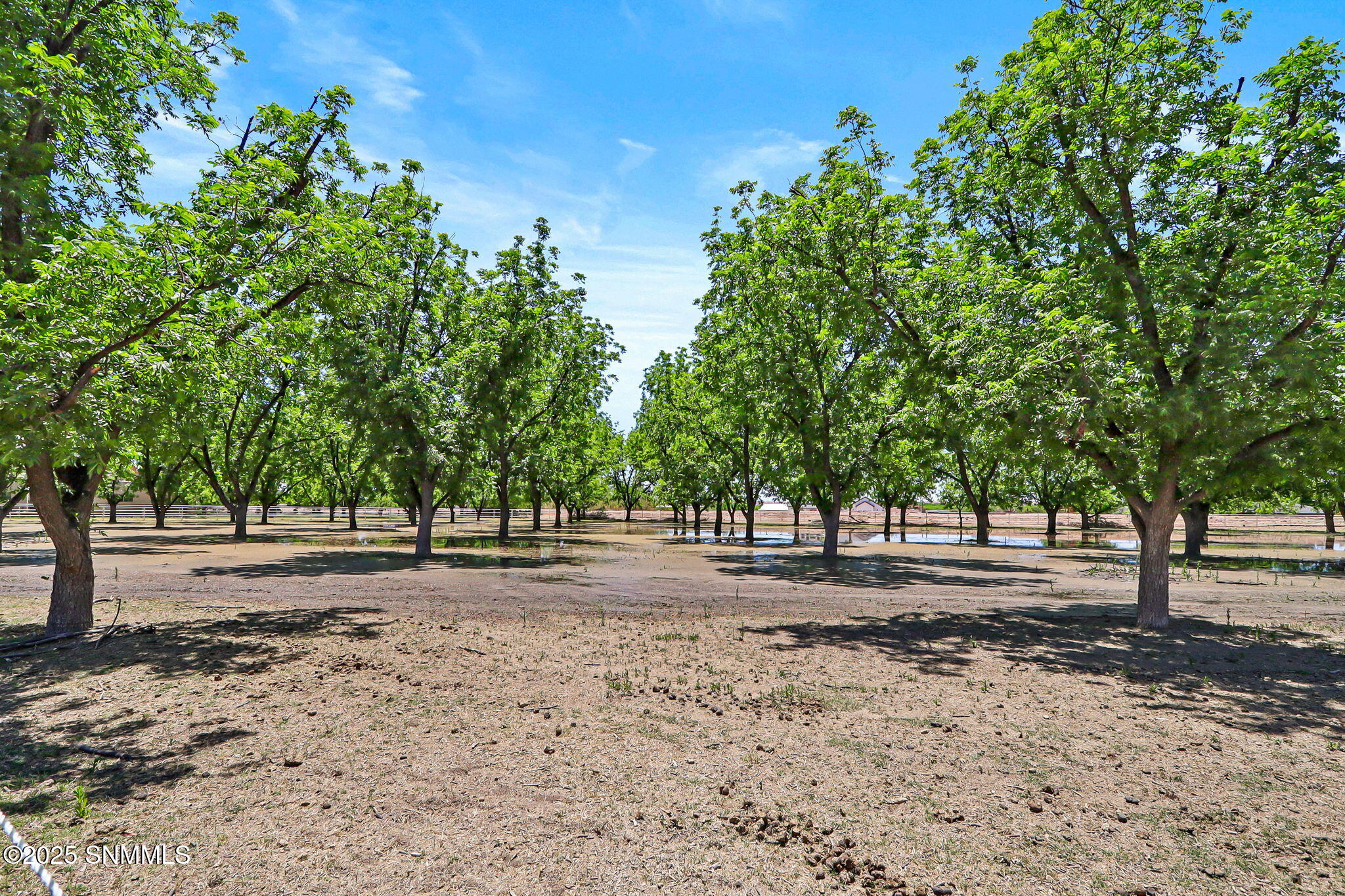 1-web-or-mls-IMG_7935