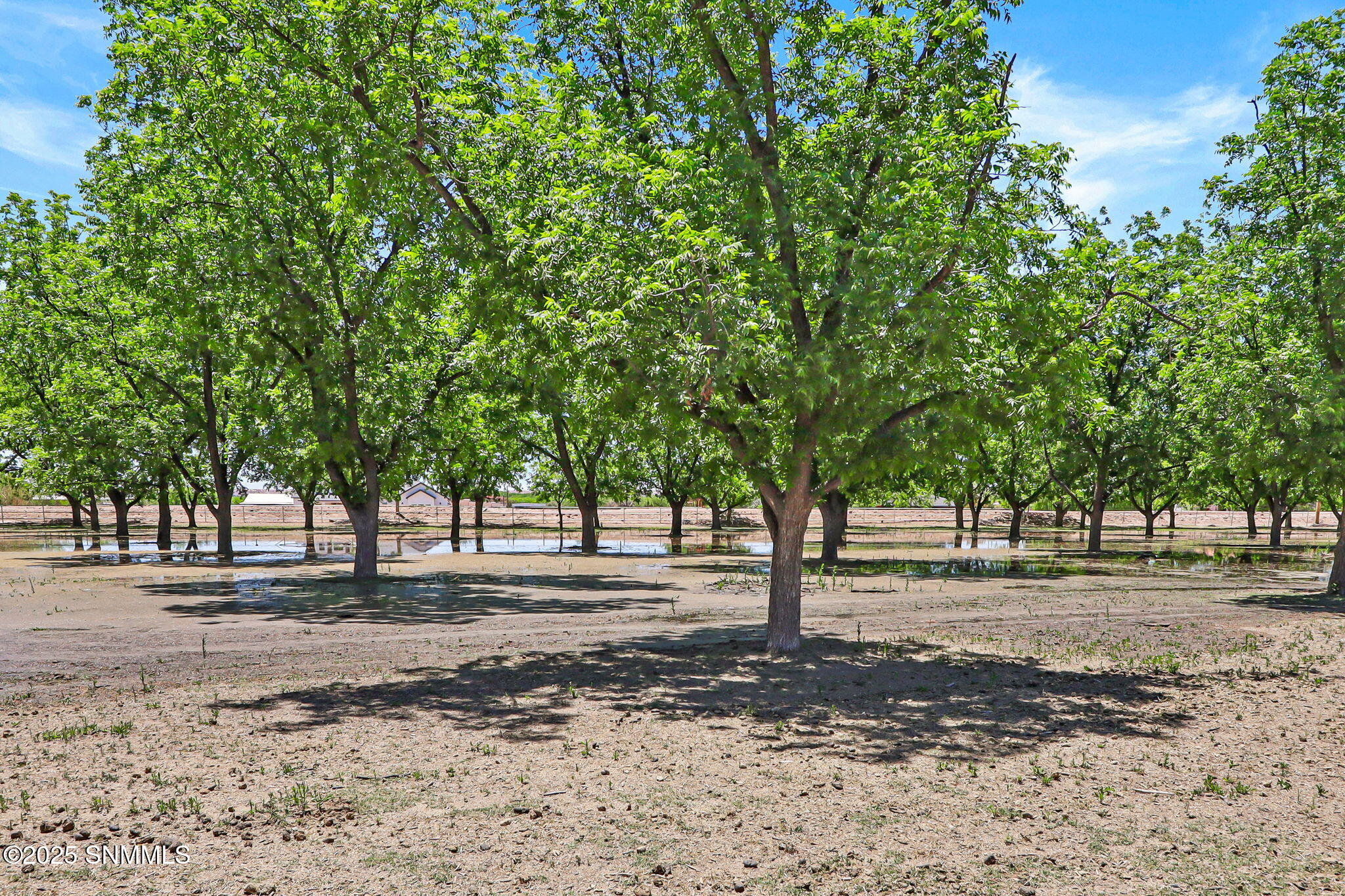 3-web-or-mls-IMG_7949-2