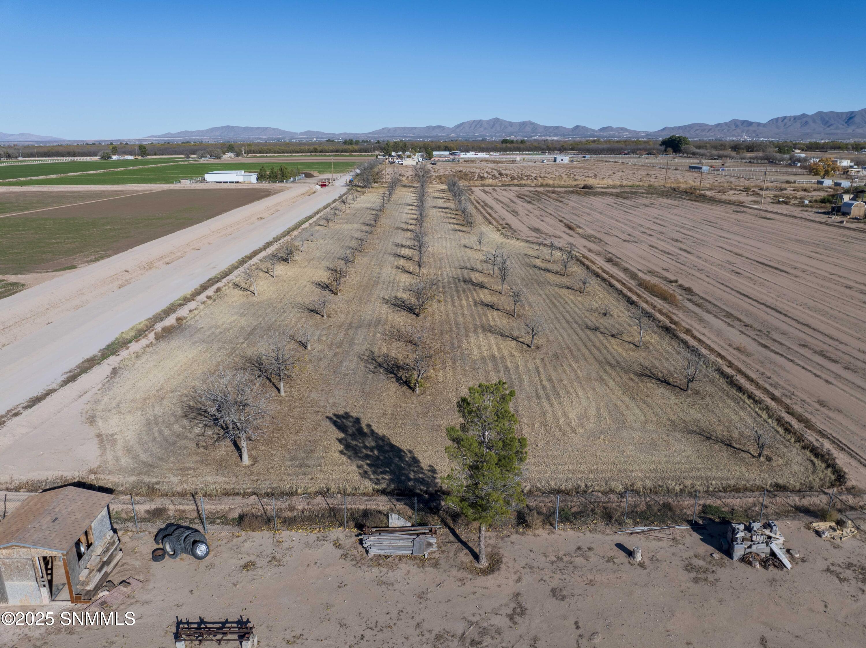 615 Ojito de Madrid-5