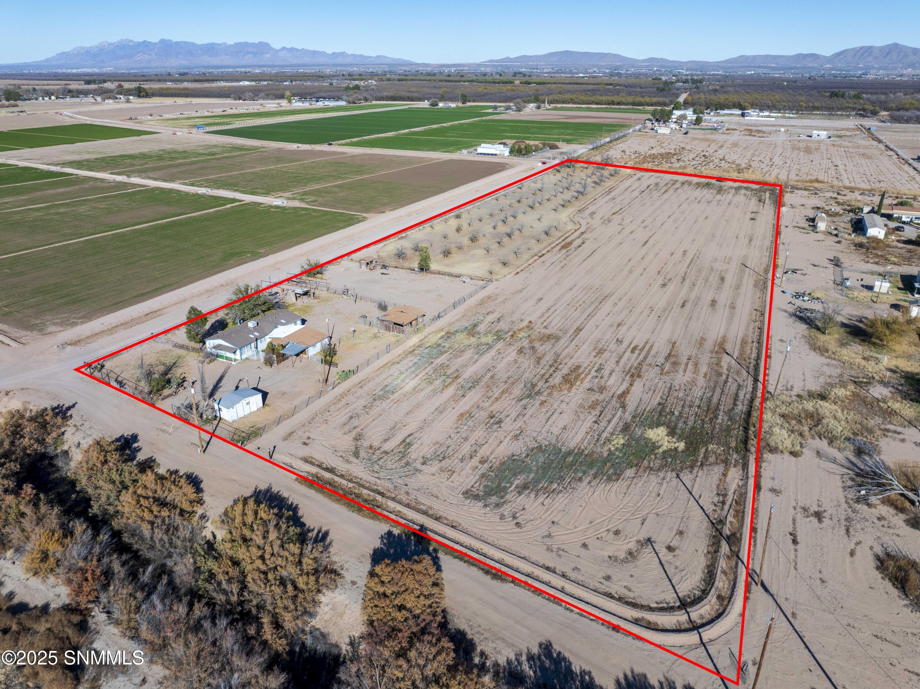 615 Ojito de Madrid-8