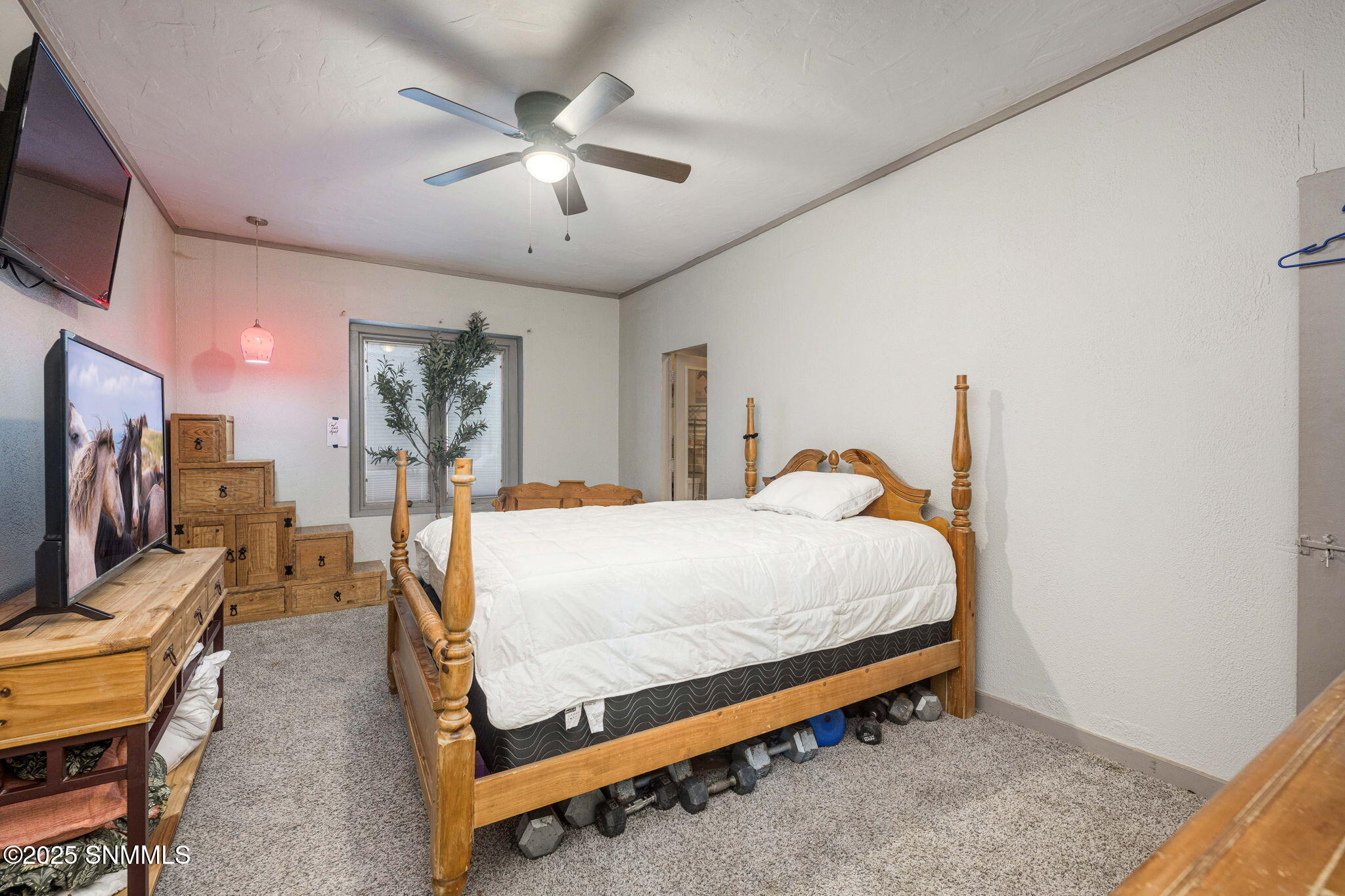 24-web-or-mls-Snappin Homes (Hwy478_6220