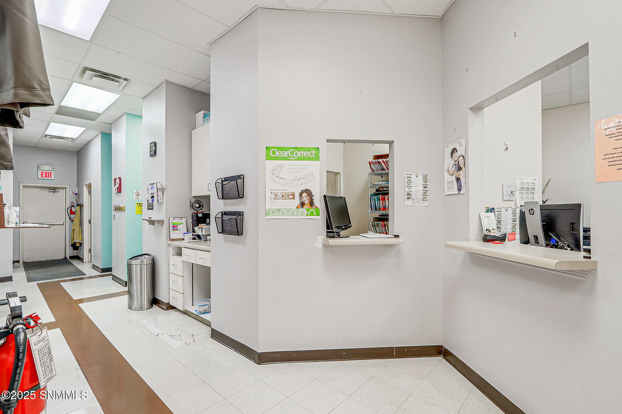 42-web-or-mls-IMG_6773