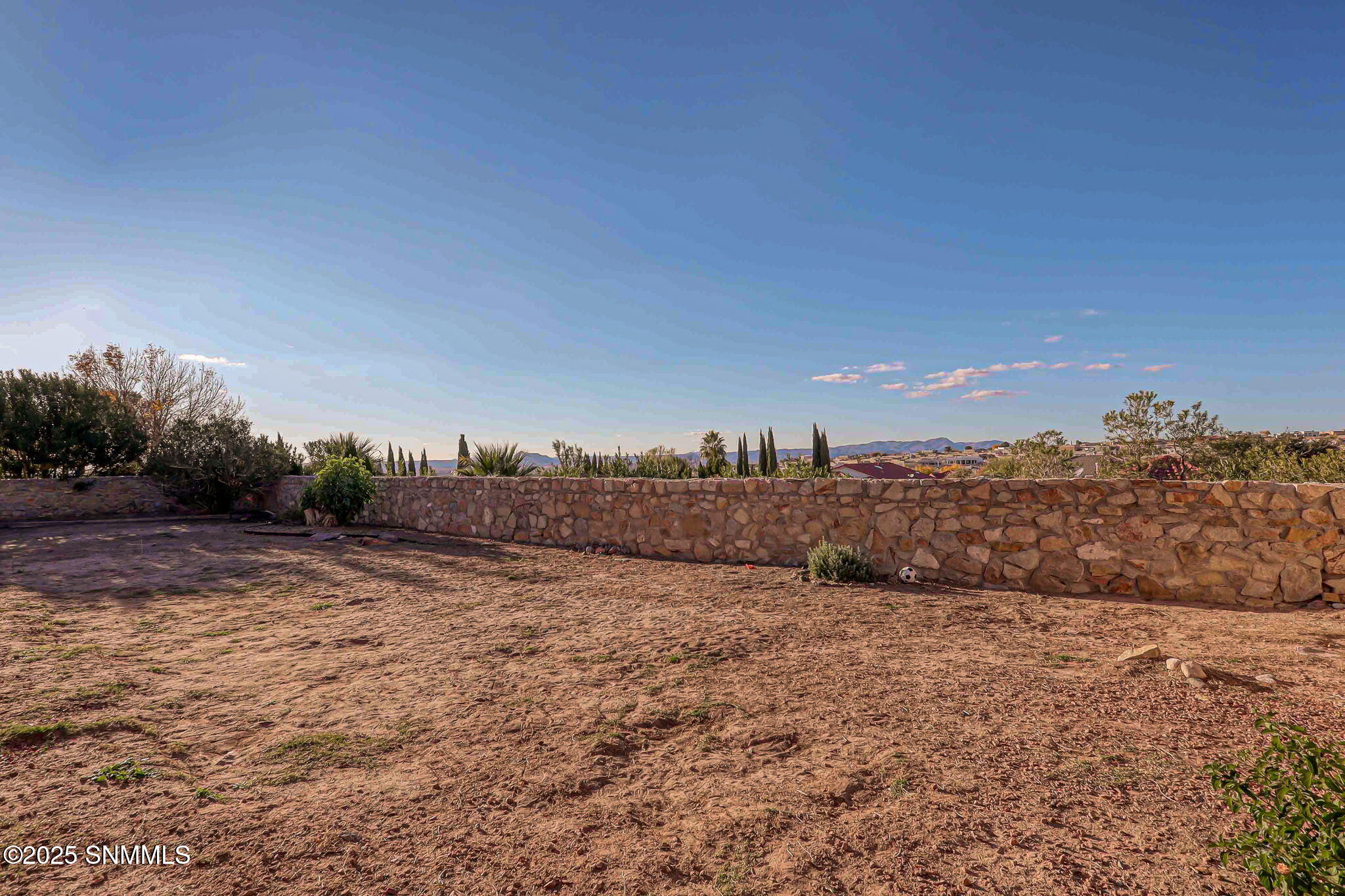 52-web-or-mls-IMG_6638