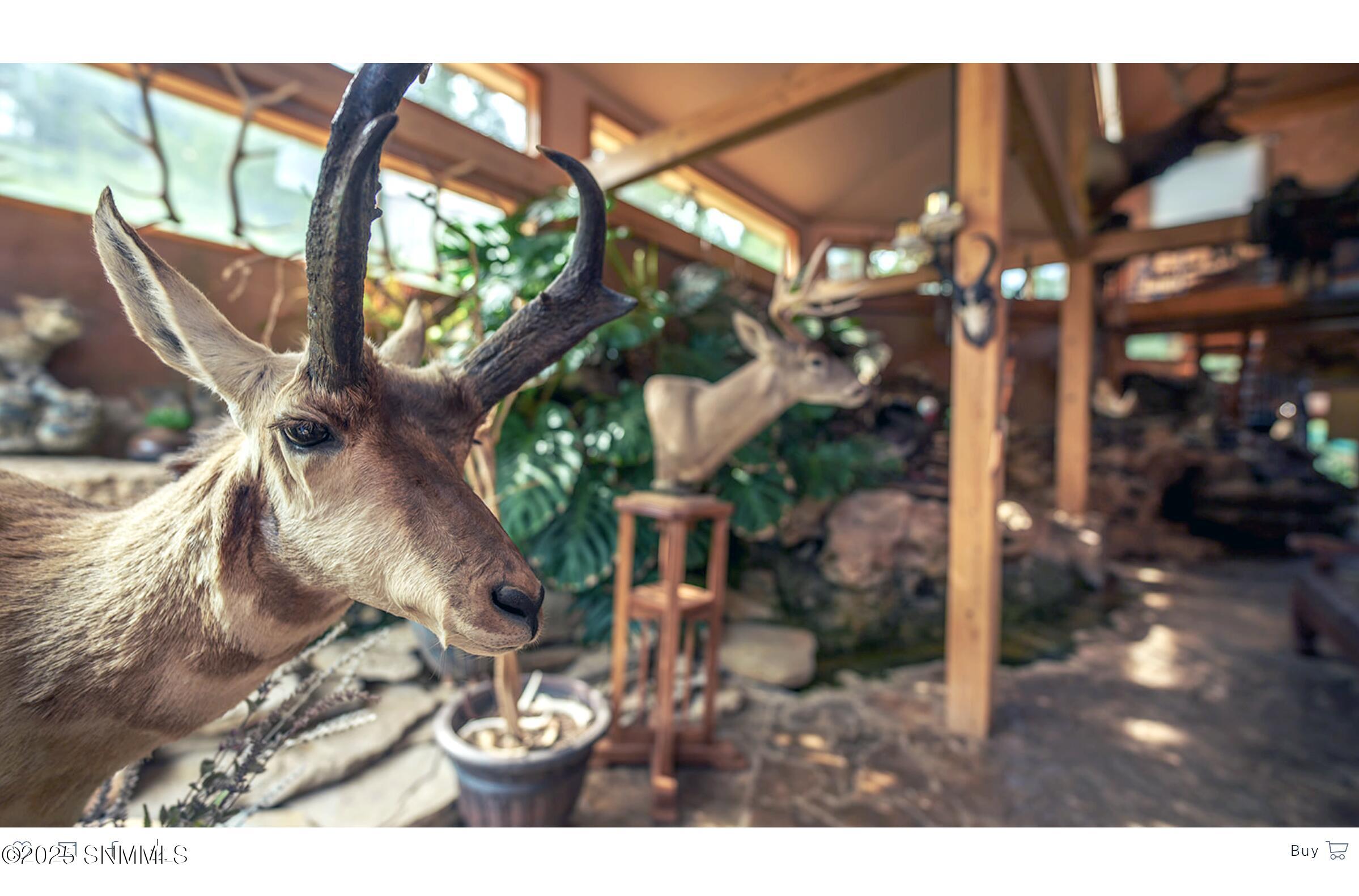 Screenshot 2025-11-17 at 12.20.58PM