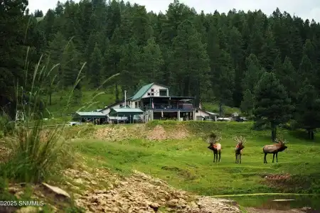 86 Telephone Canyon Road, Weed, New Mexico 88354, ,Farm,For Sale,Telephone Canyon,2503793