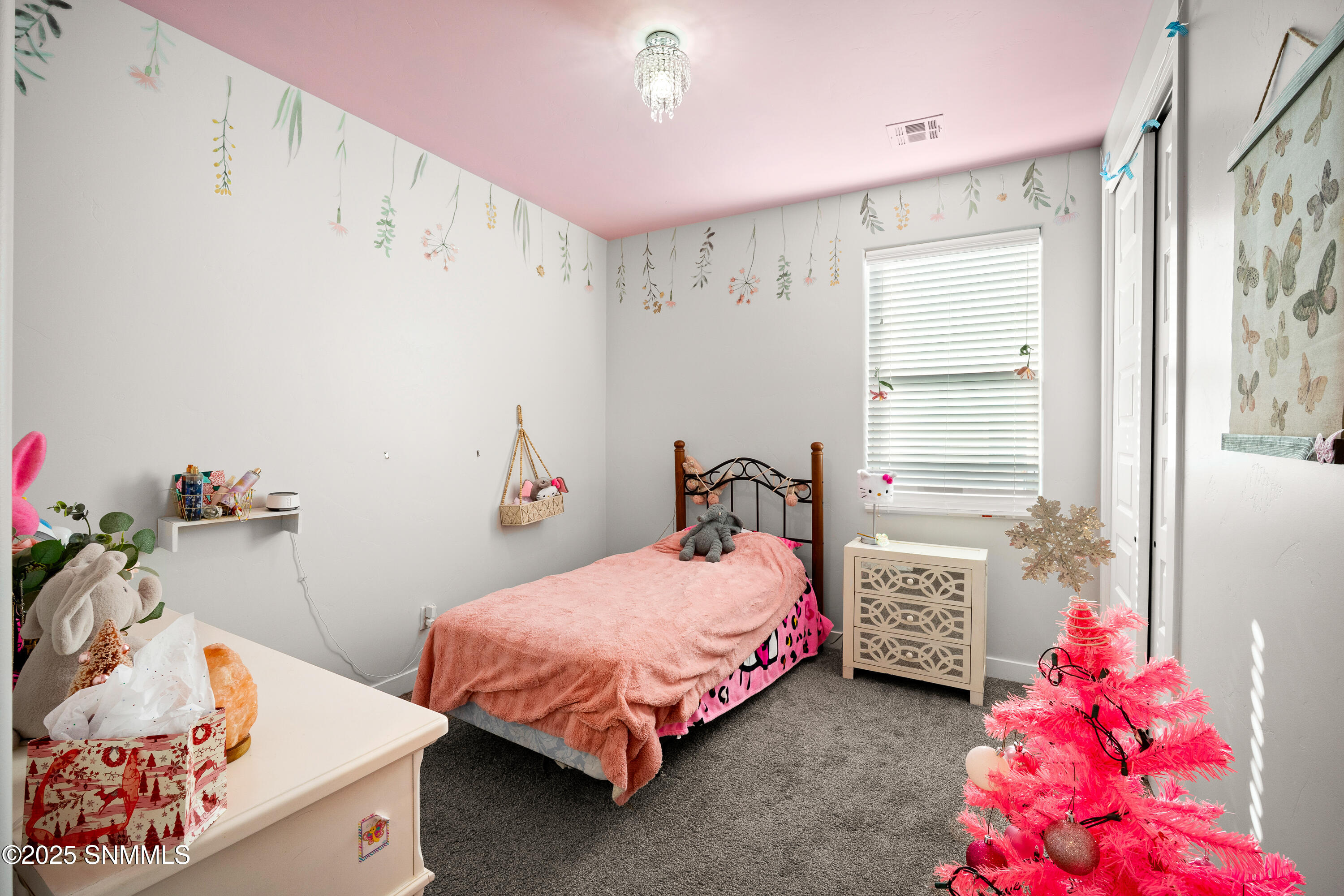 6233-Recoleta-MLS-Camera-Guy-34