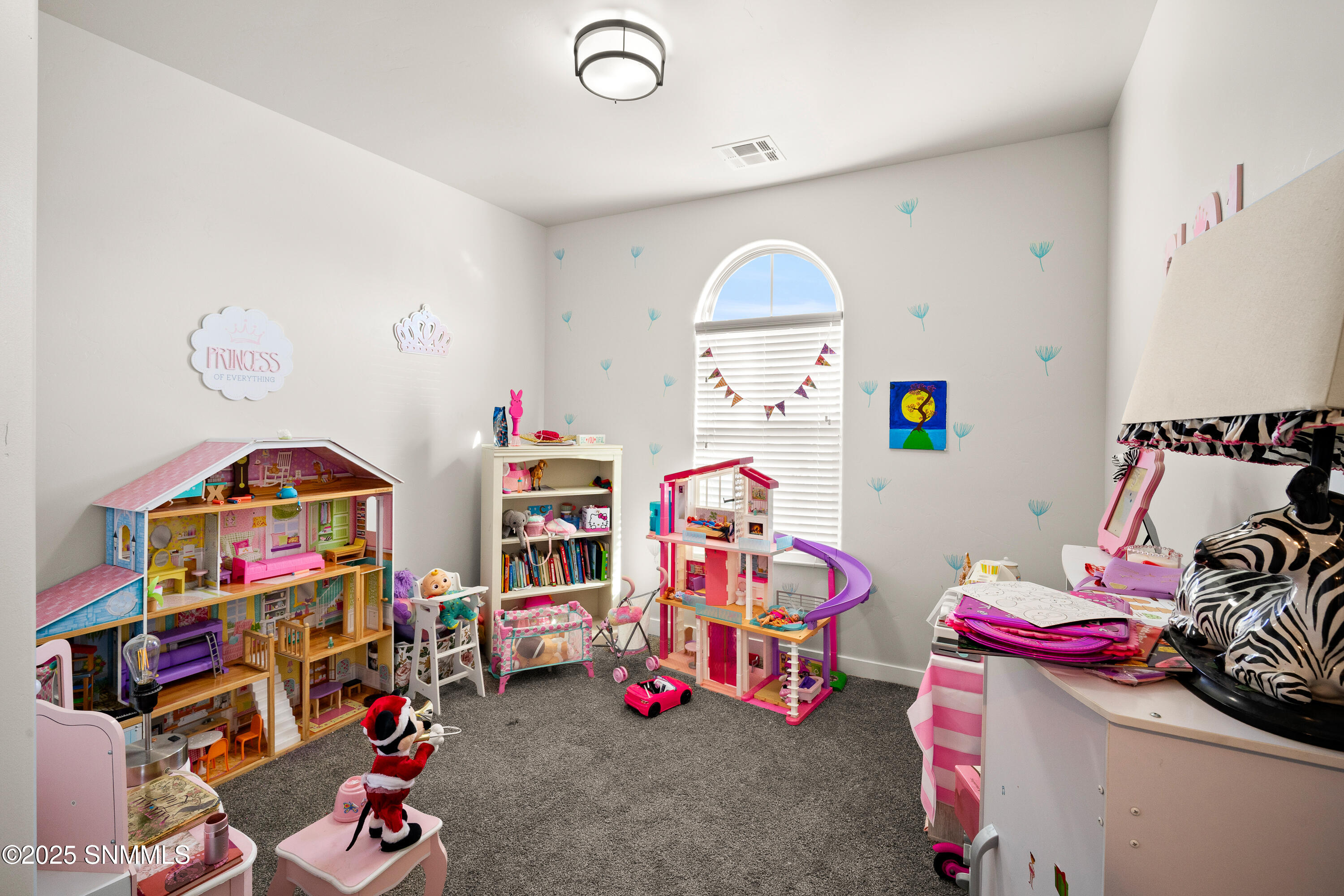 6233-Recoleta-MLS-Camera-Guy-27