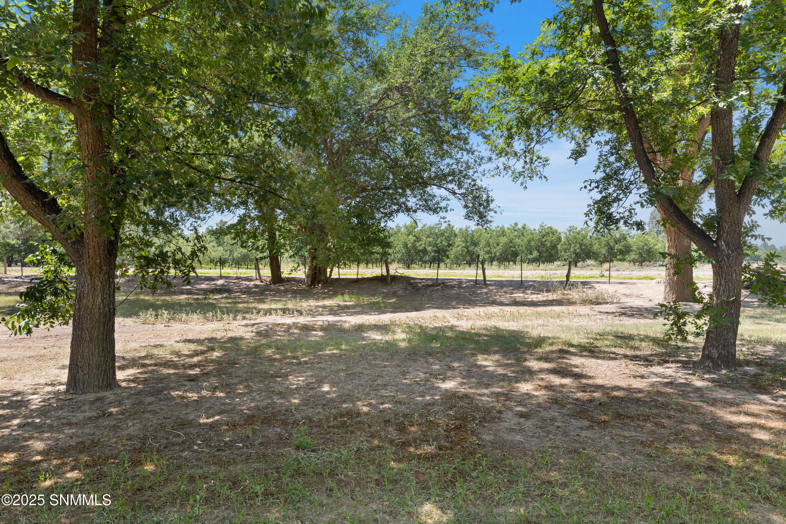 1145-W-University-MLS-Camera-Guy-22