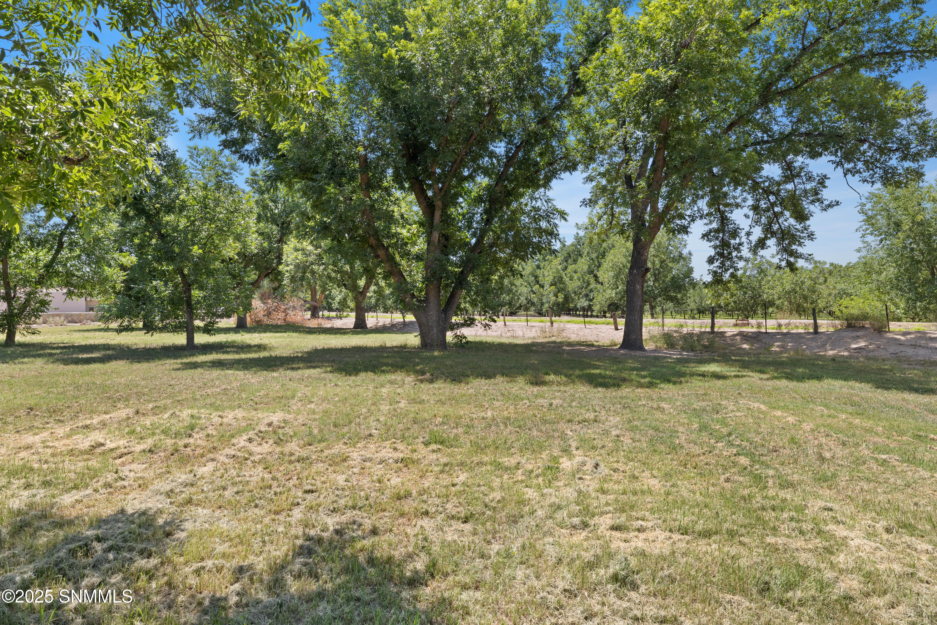 1145-W-University-MLS-Camera-Guy-23