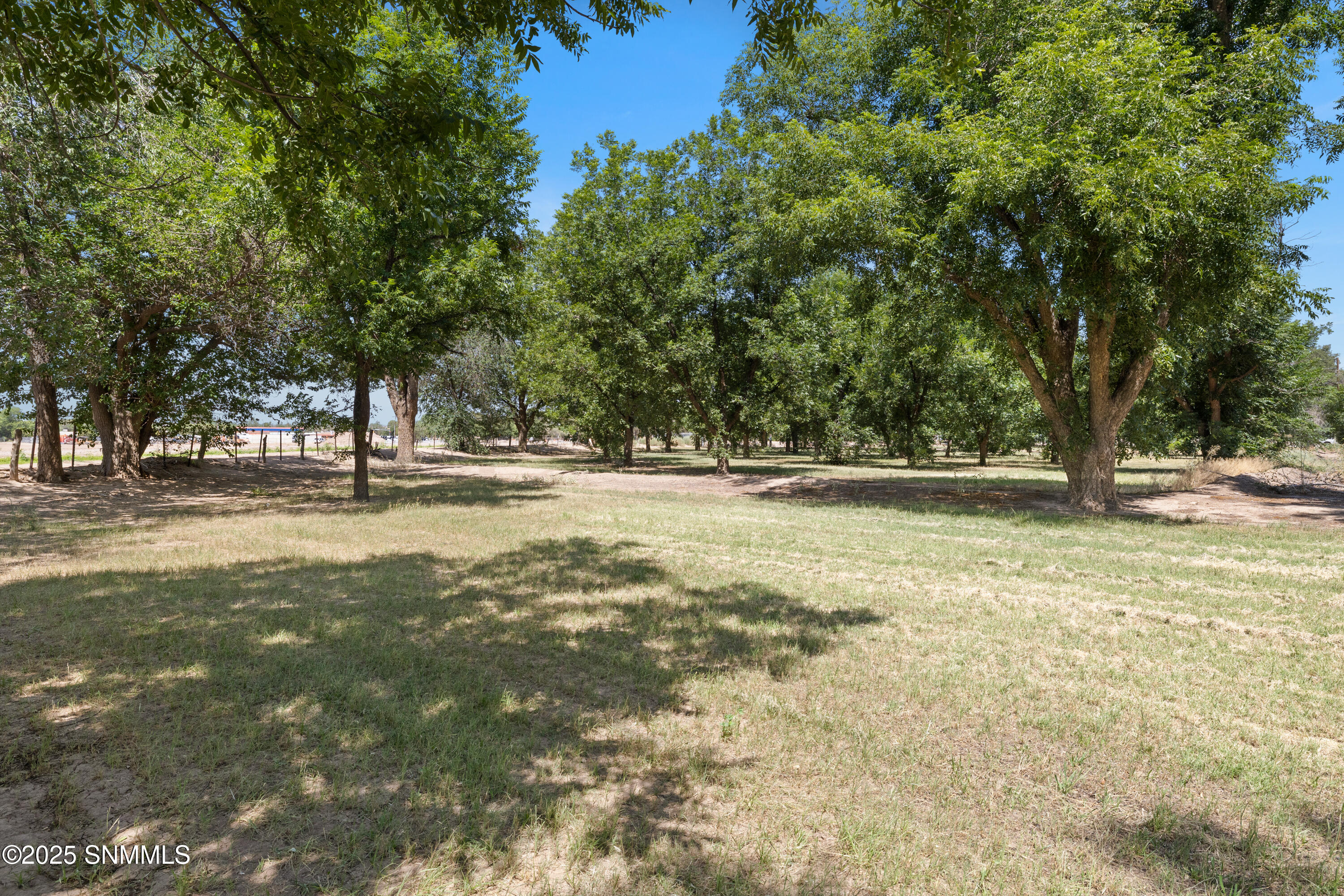 1145-W-University-MLS-Camera-Guy-24