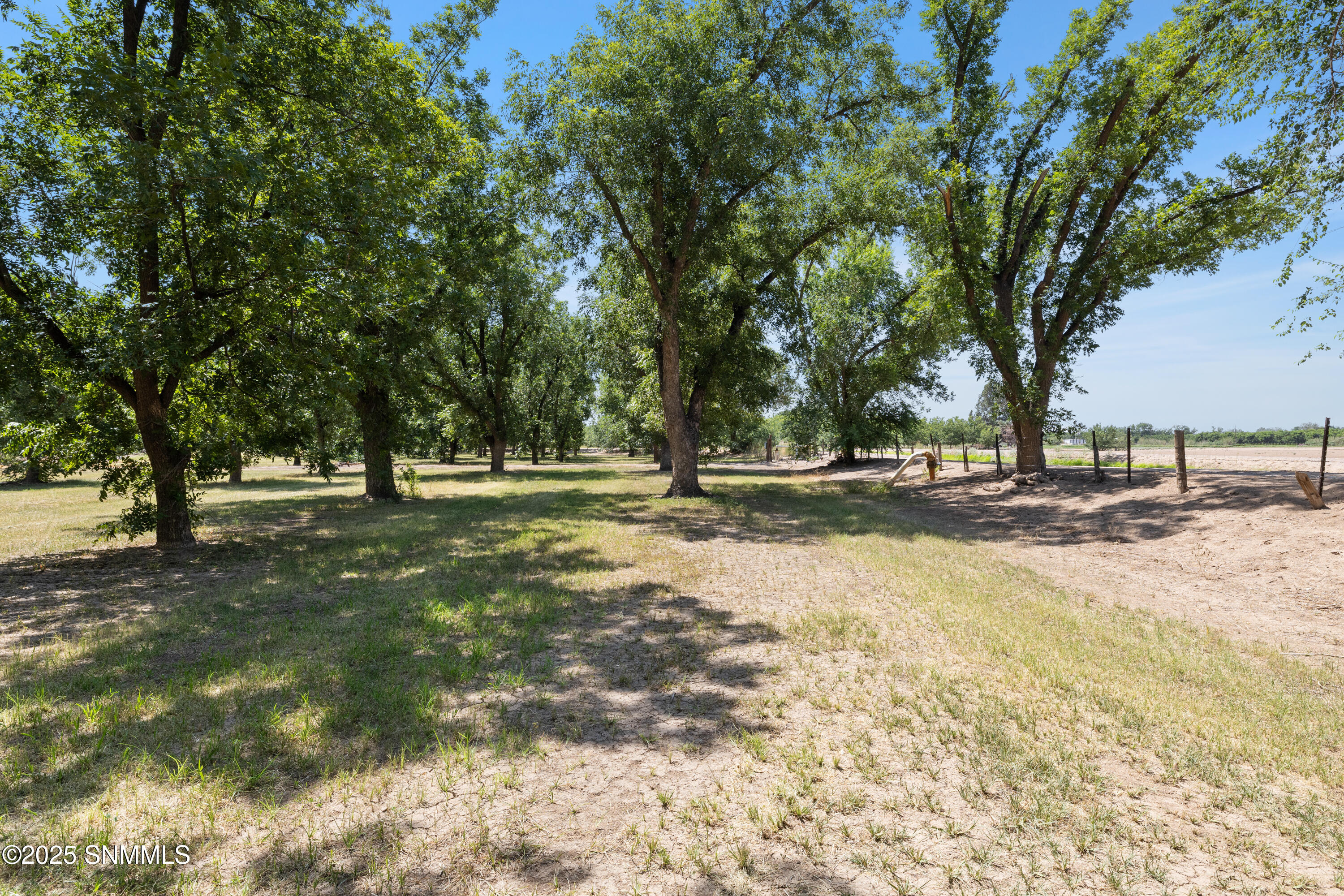 1145-W-University-MLS-Camera-Guy-19