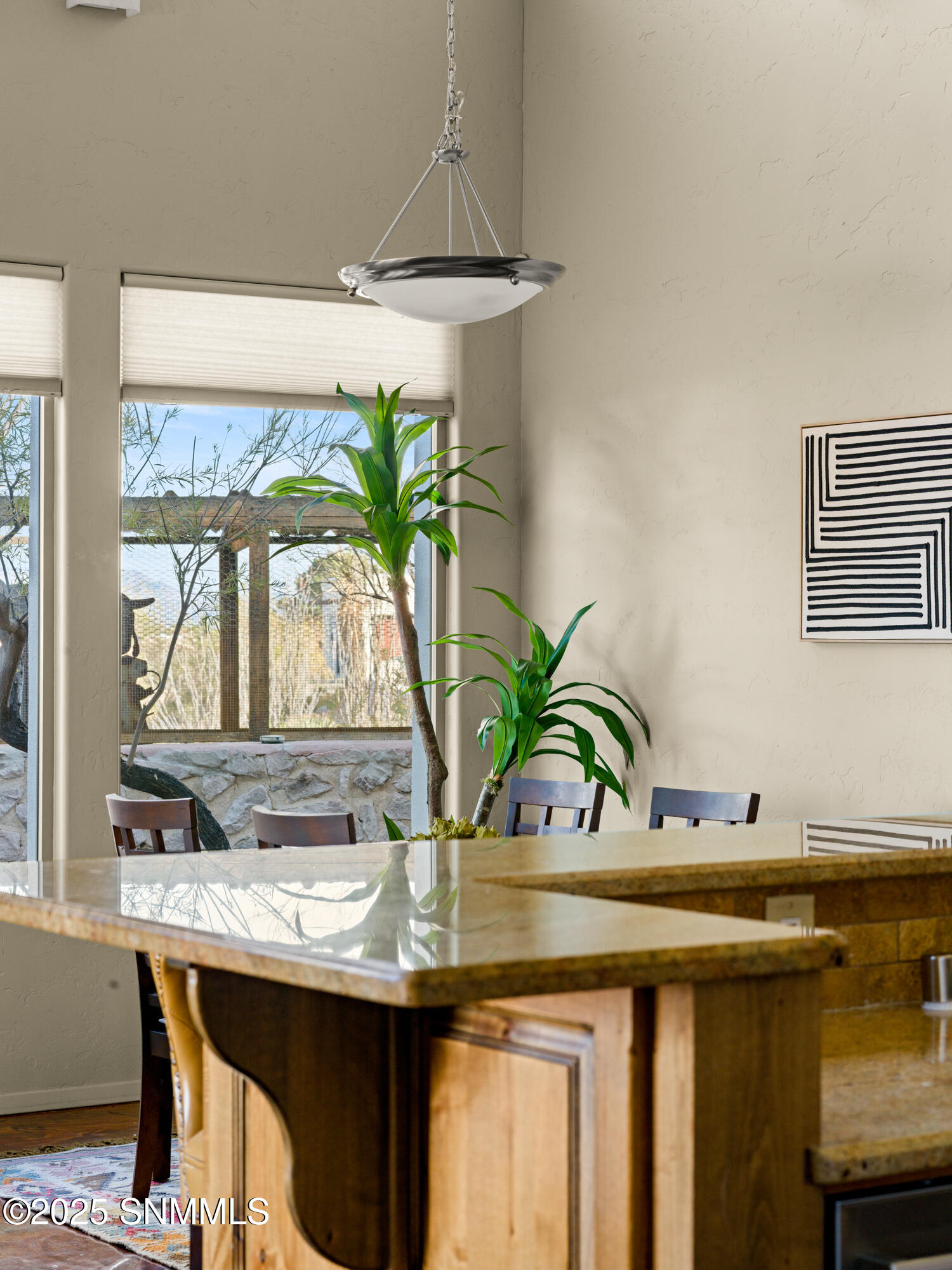 6700-Camino-Blanco-MLS-Camera-Guy-20