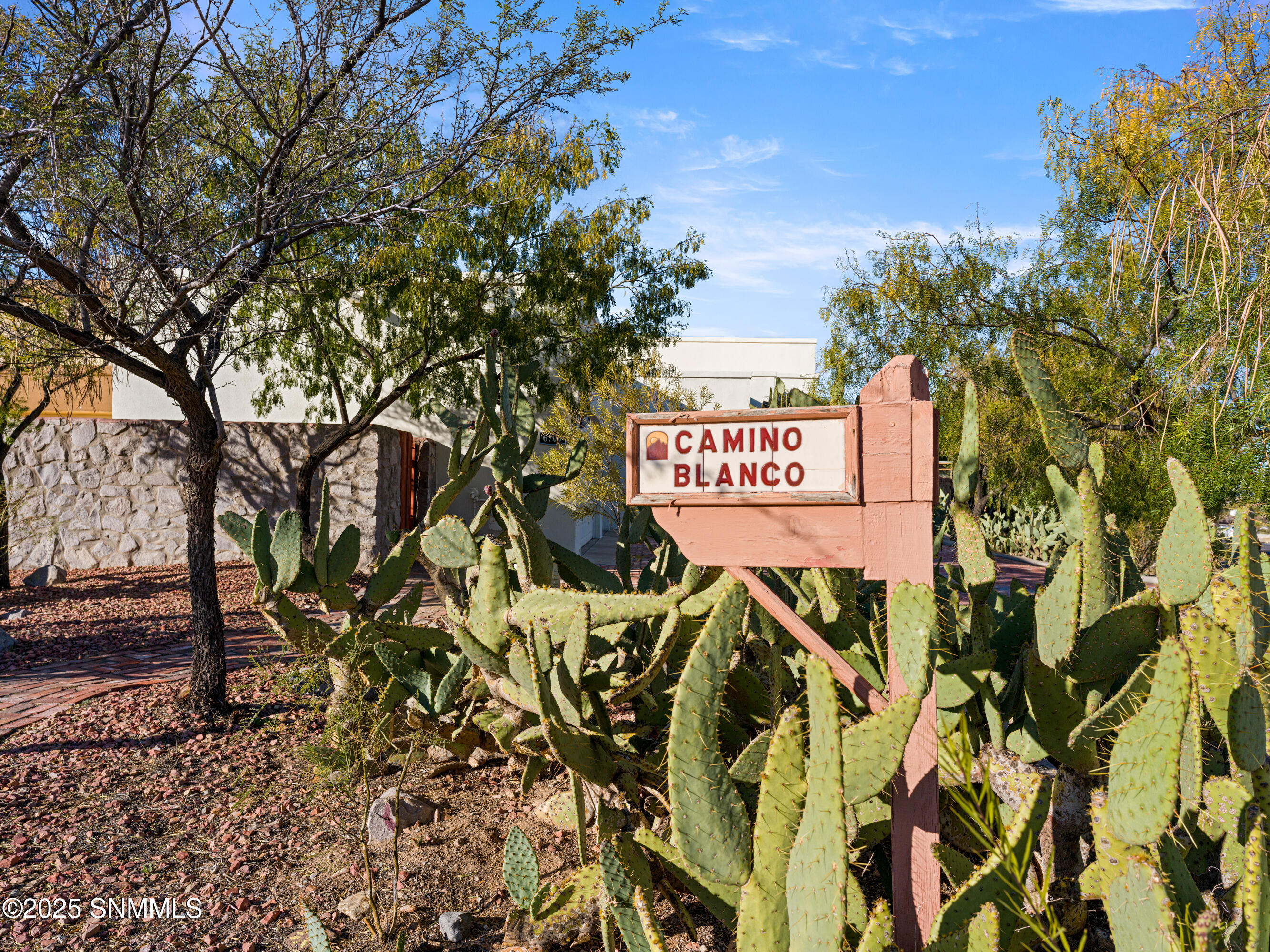 6700-Camino-Blanco-MLS-Camera-Guy-8