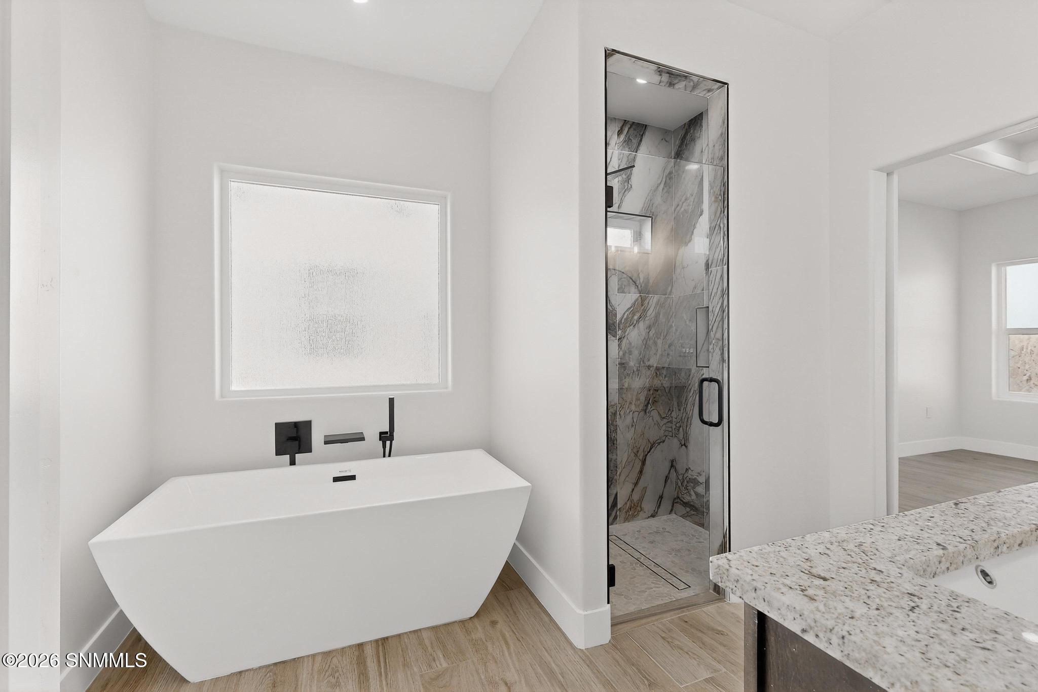 Walk-in Shower and Modern Tub