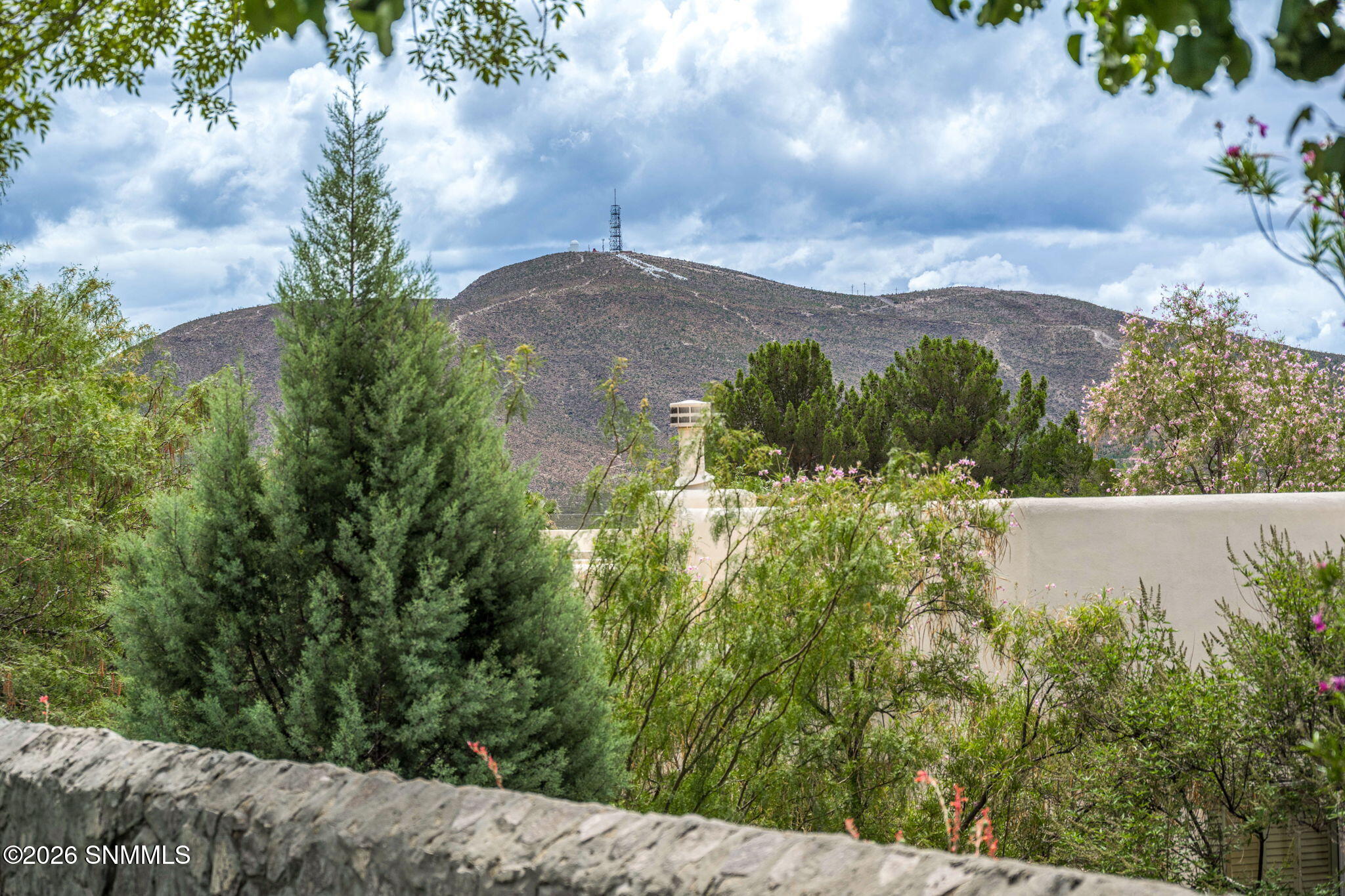 37-web-or-mls-Snappin Homes (Fairway3217