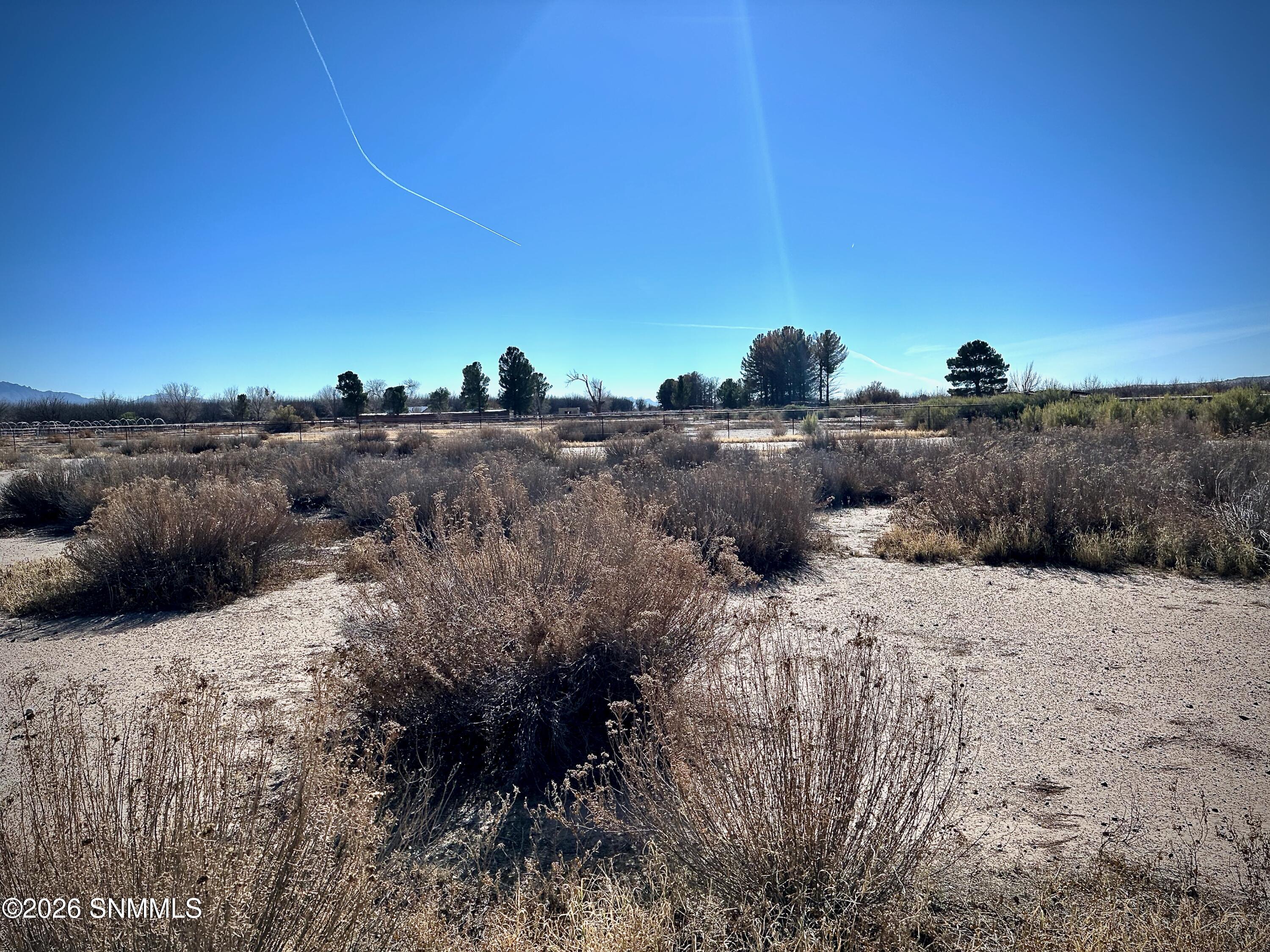 Little 1095 - 12 of 27