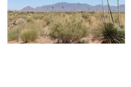 0000 Paintbrush Road Road, Deming, New Mexico 88030, ,Land,For Sale,Paintbrush Road,2600125