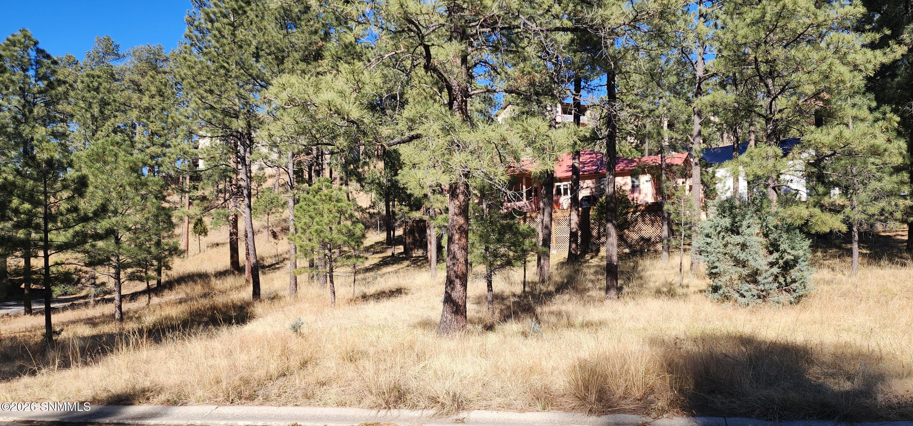 604 White Mountain Meadows