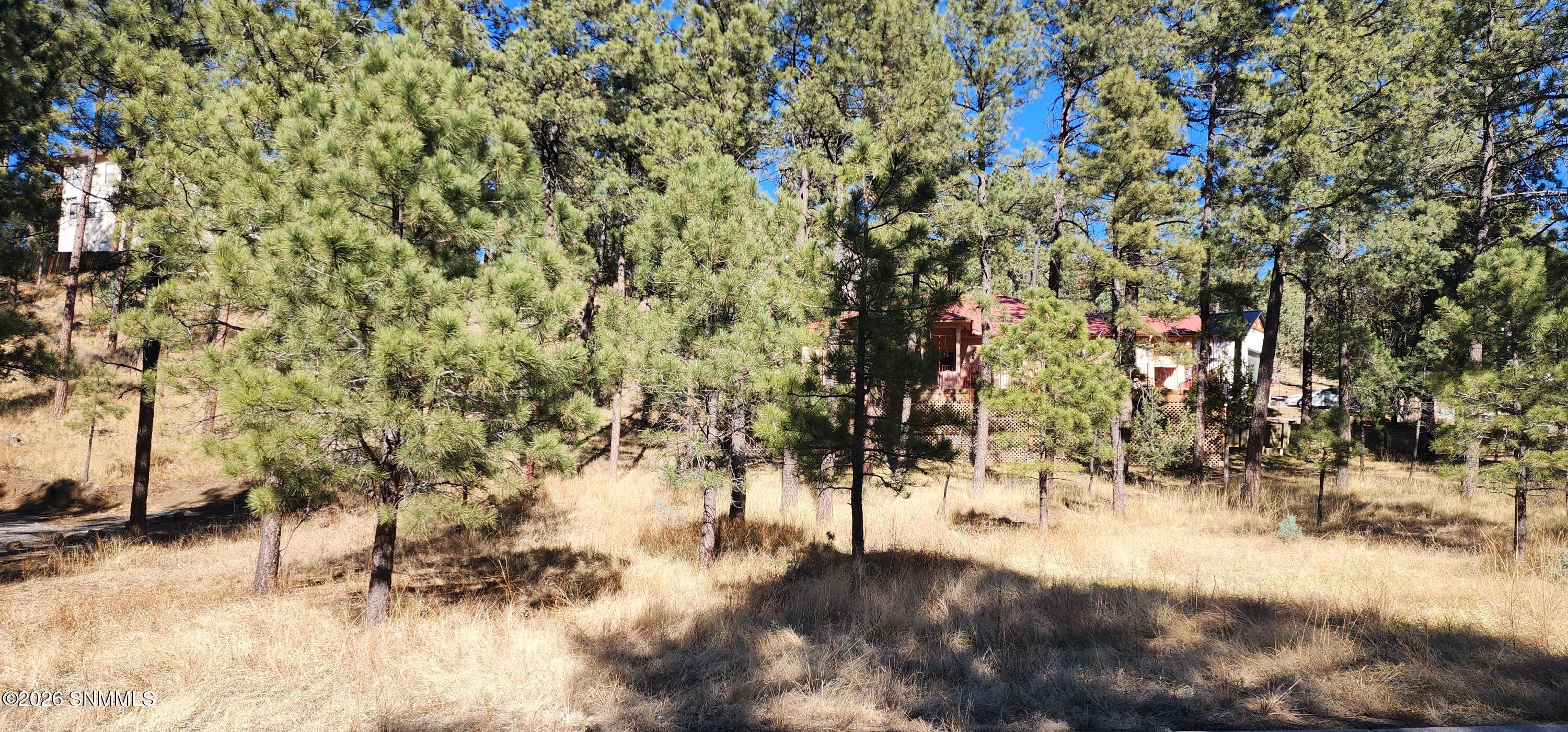 604 White Mountain Meadows