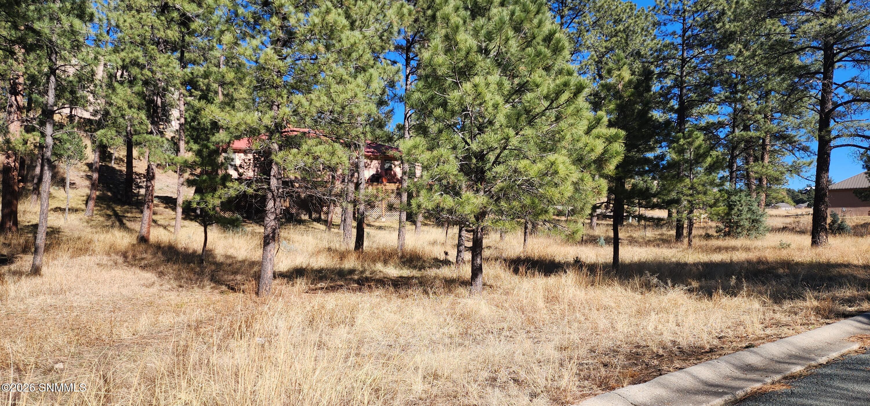 604 White Mountain Meadows