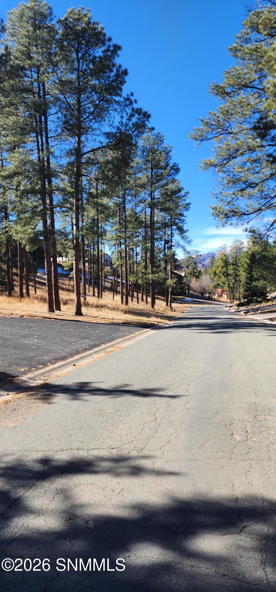 604 White Mountain Meadows