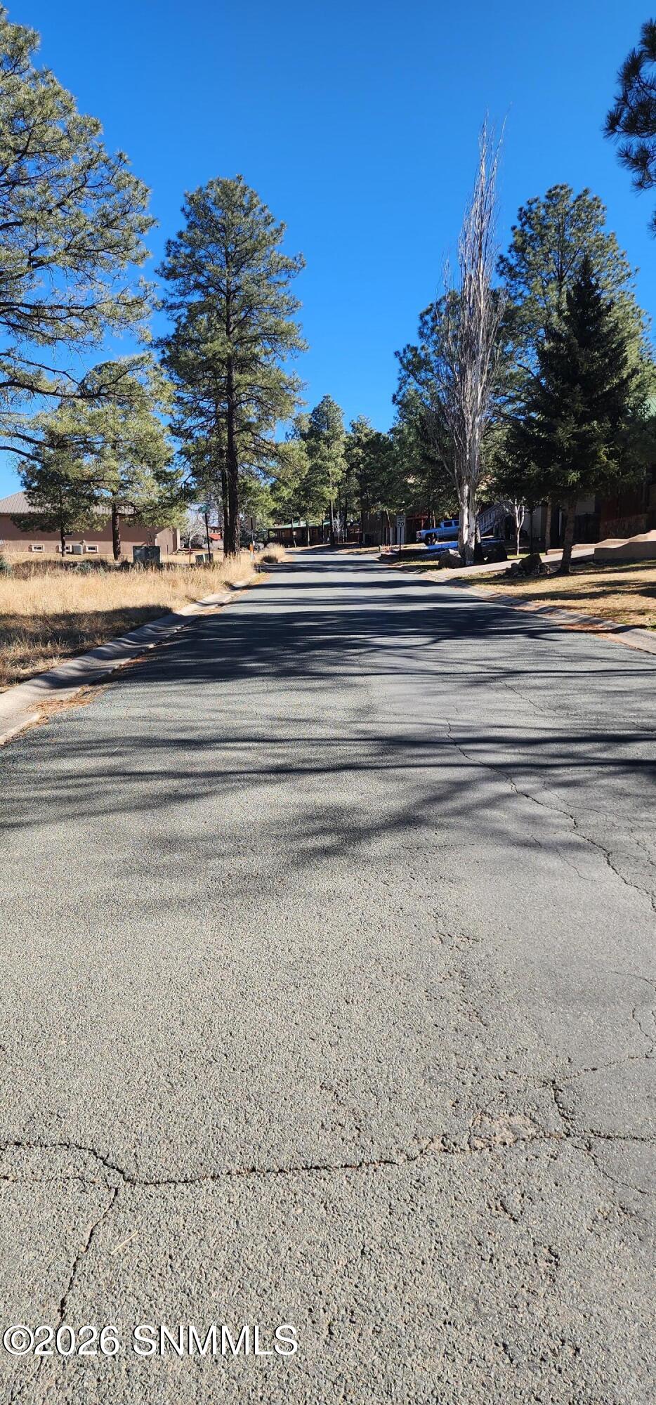 604 White Mountain Meadows