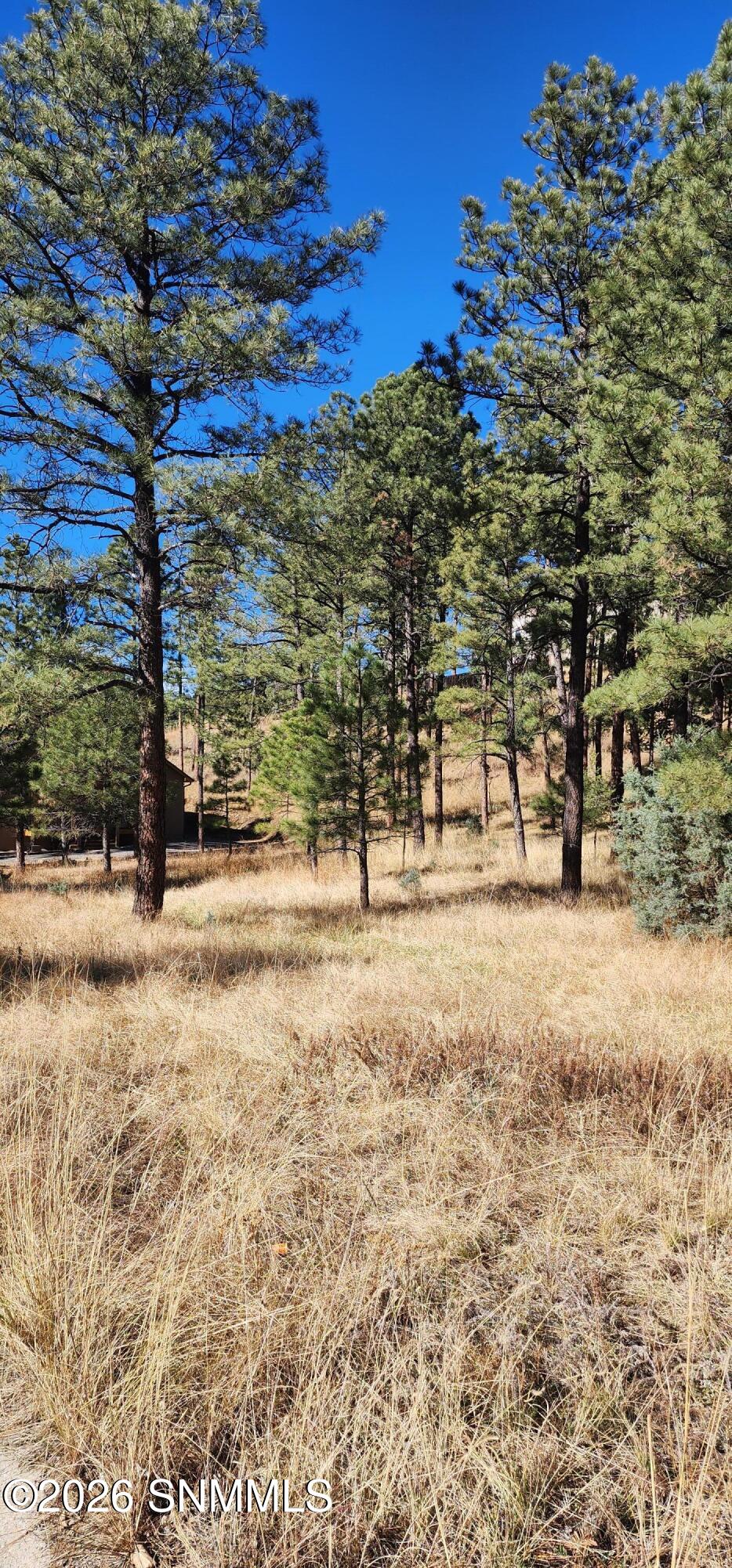 604 White Mountain Meadows