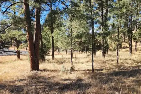 604 White Mountain Meadows Drive, Ruidoso, New Mexico 88345, ,Land,For Sale,White Mountain Meadows,2600119