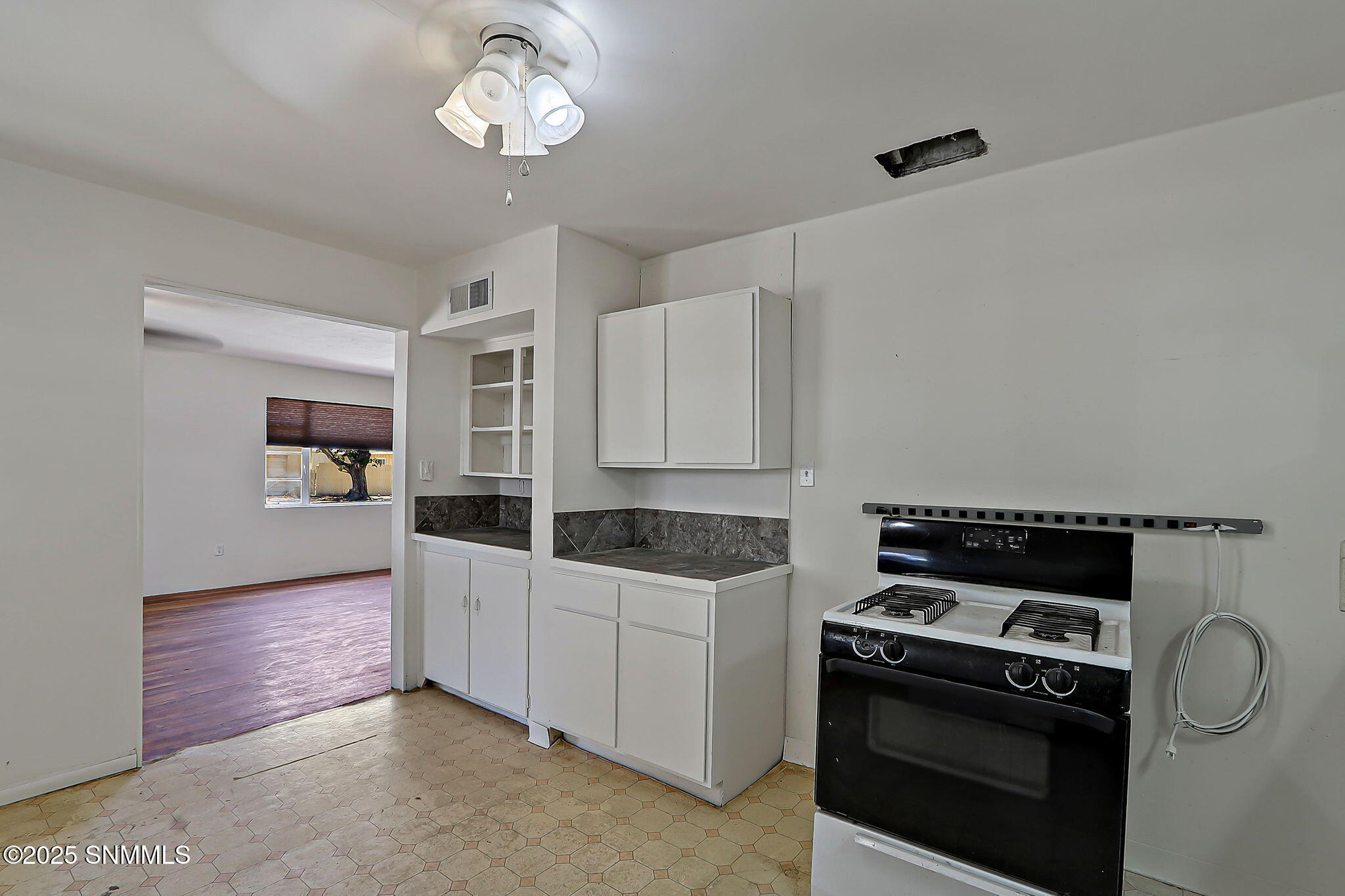 26-web-or-mls-IMG_1611