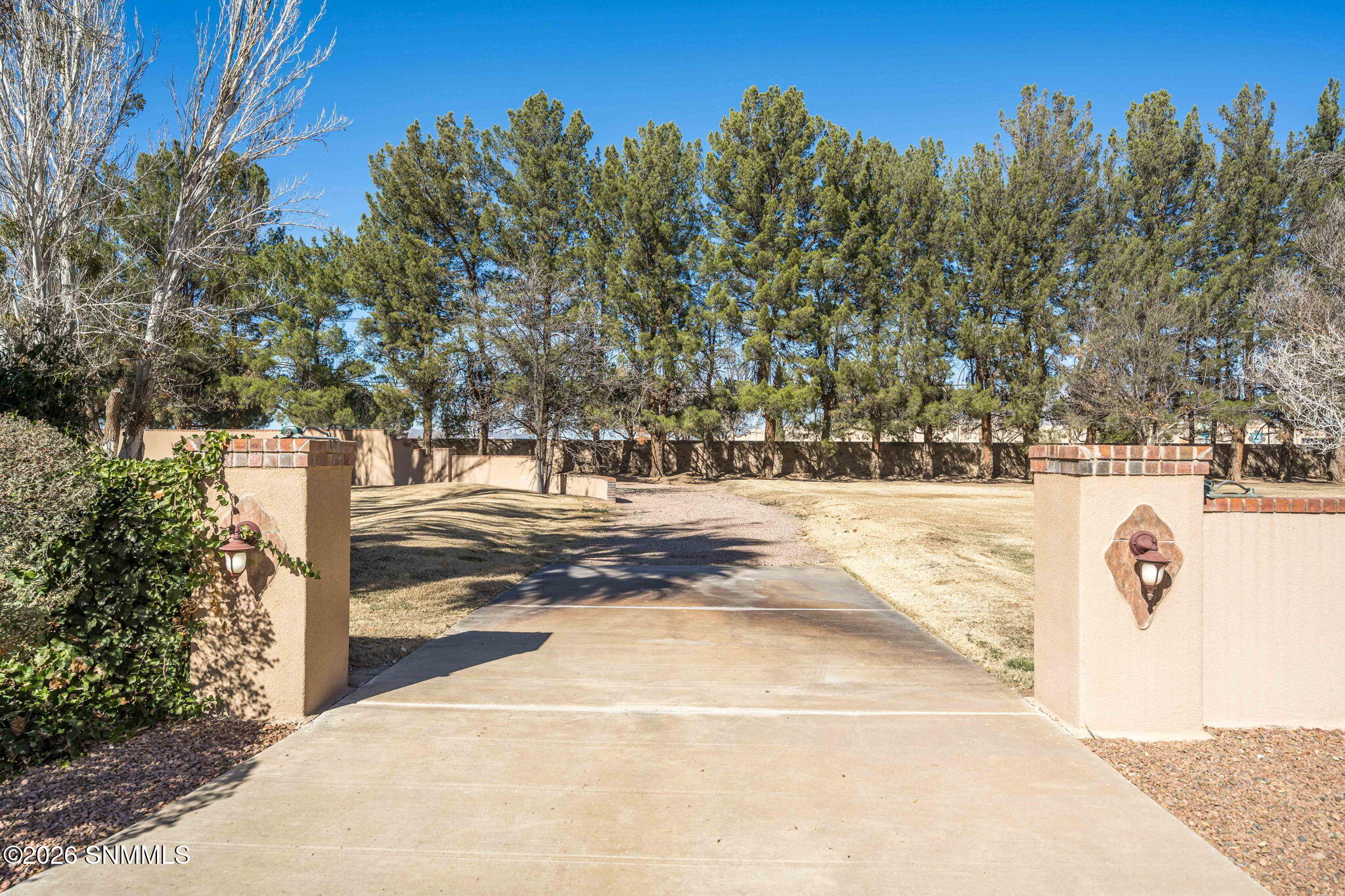 101-web-or-mls-Snappin Homes (McDowell28