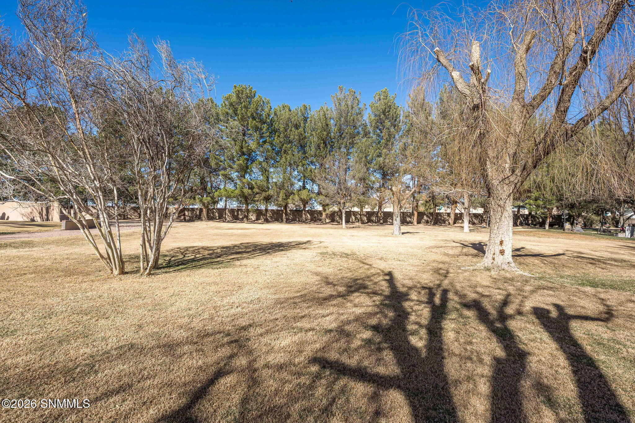 105-web-or-mls-Snappin Homes (McDowell28