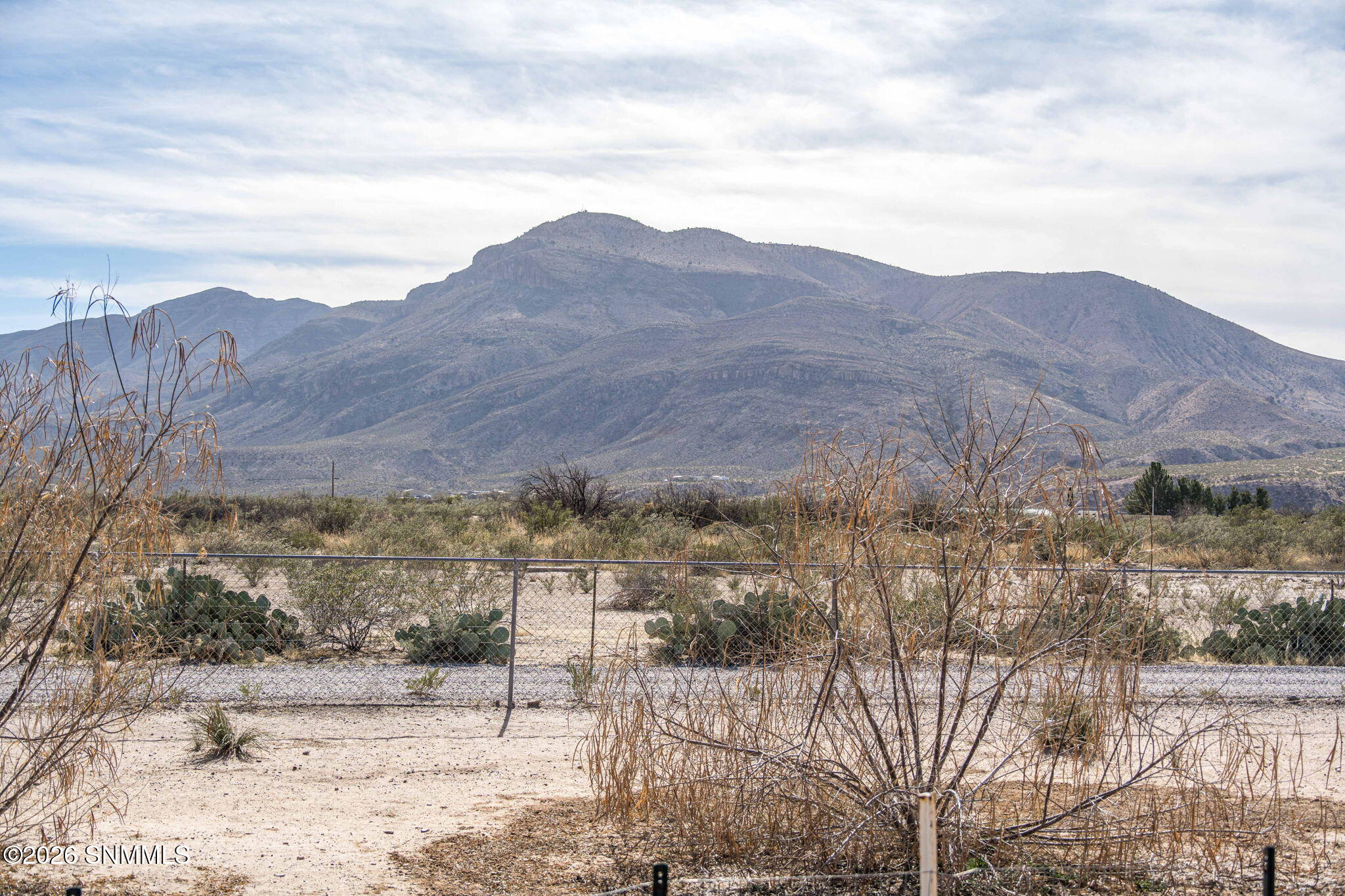 46-web-or-mls-Snappin Homes (Carr12290)-